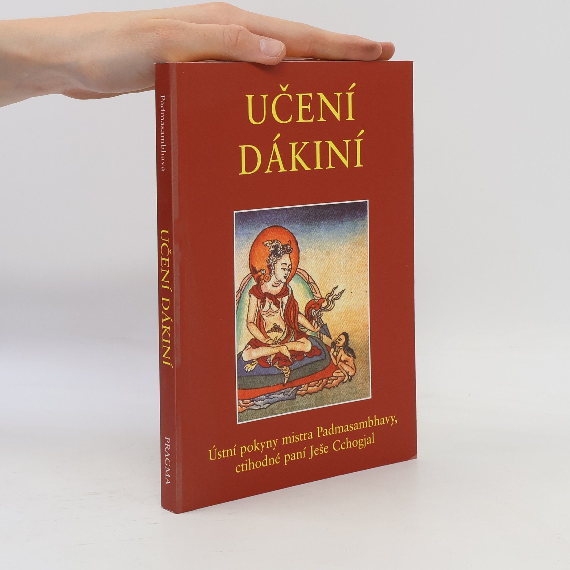 Učení dákiní : ústní pokyny mistra Padmasambhavy ctihodné paní Ješe Cchogjal
