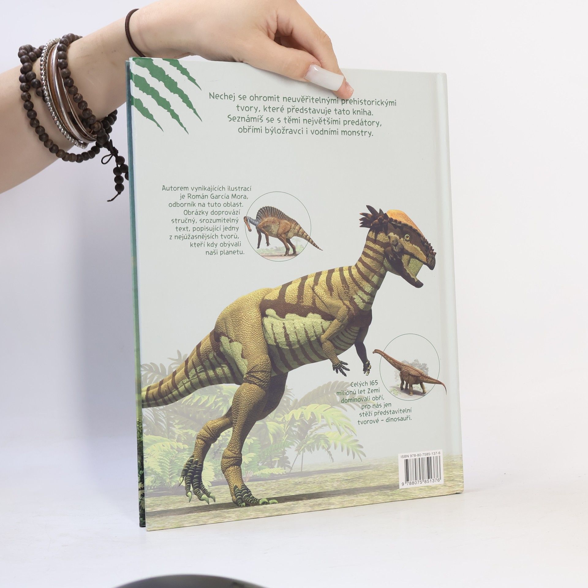 Román García Mora Vše o dinosaurech