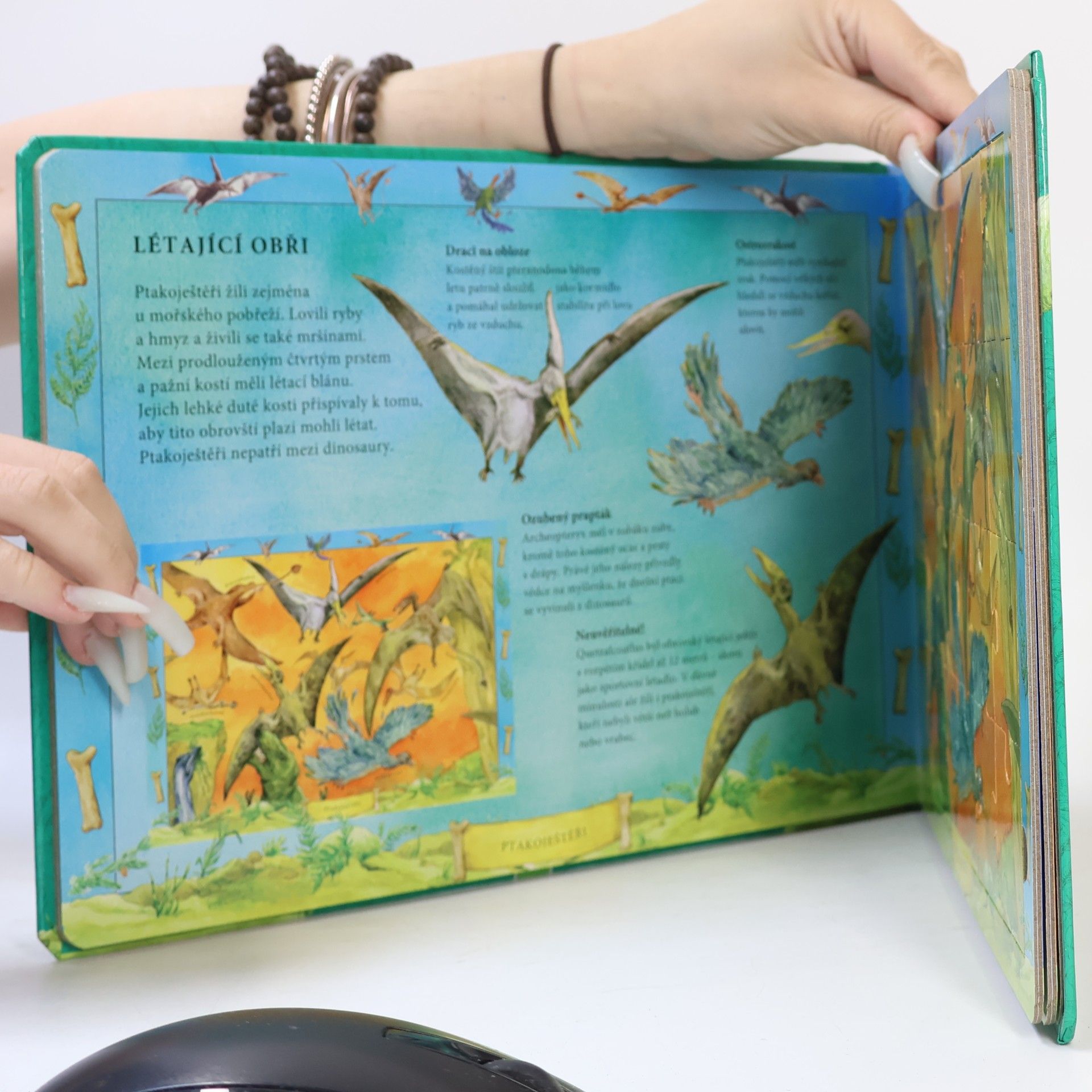 Kolektív autorov Moja knižka s puzzle. Dinosaury