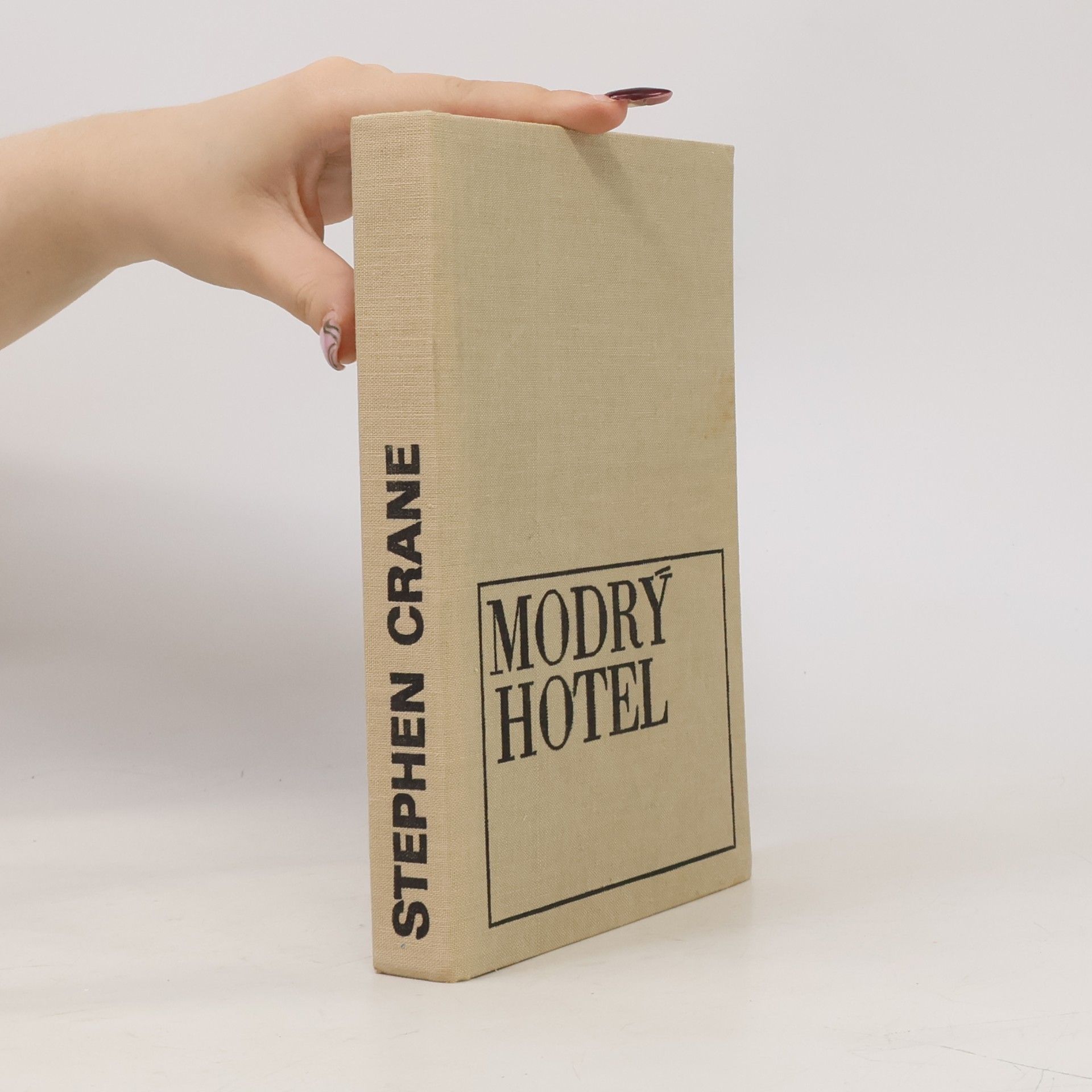 Stephen Crane Modrý hotel