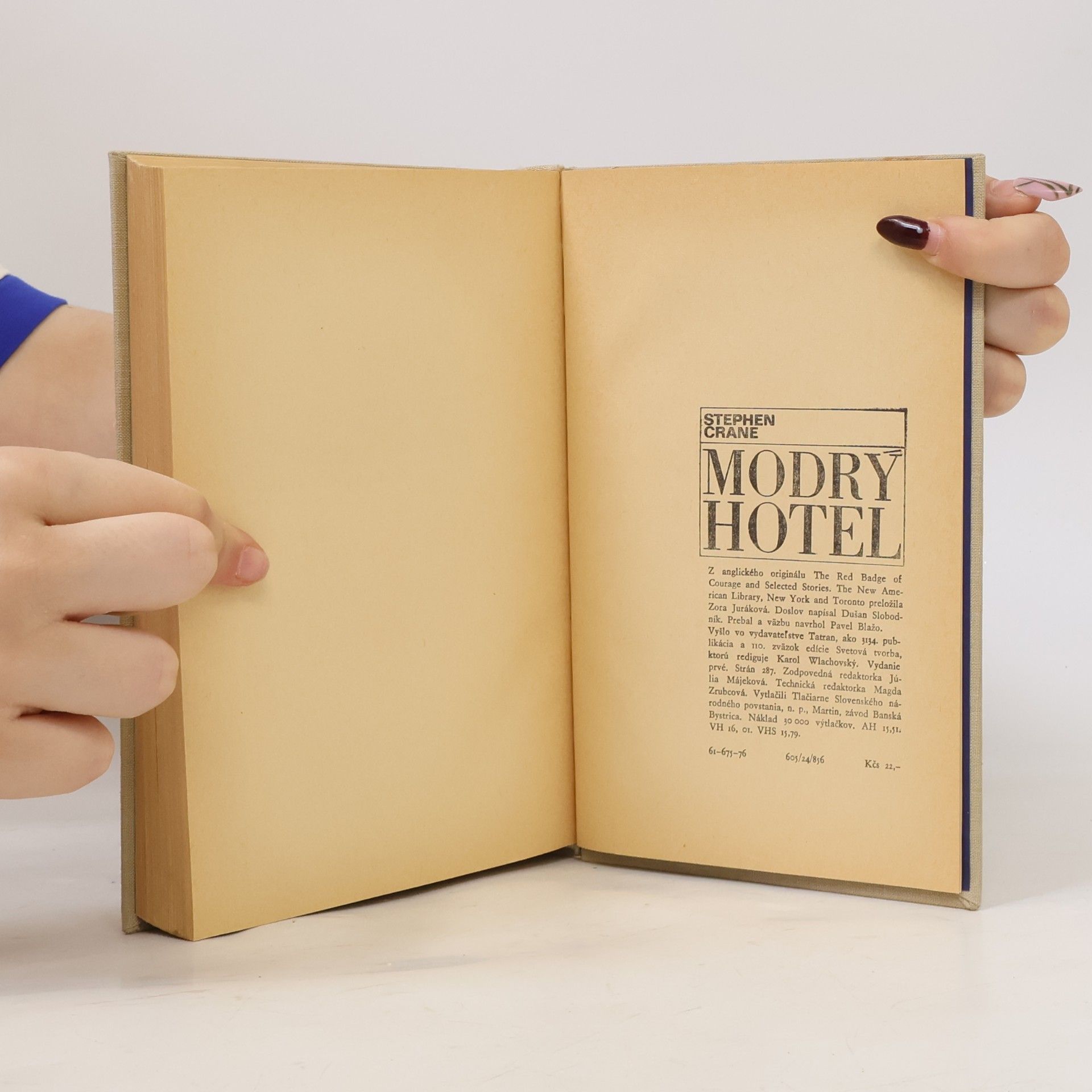 Stephen Crane Modrý hotel