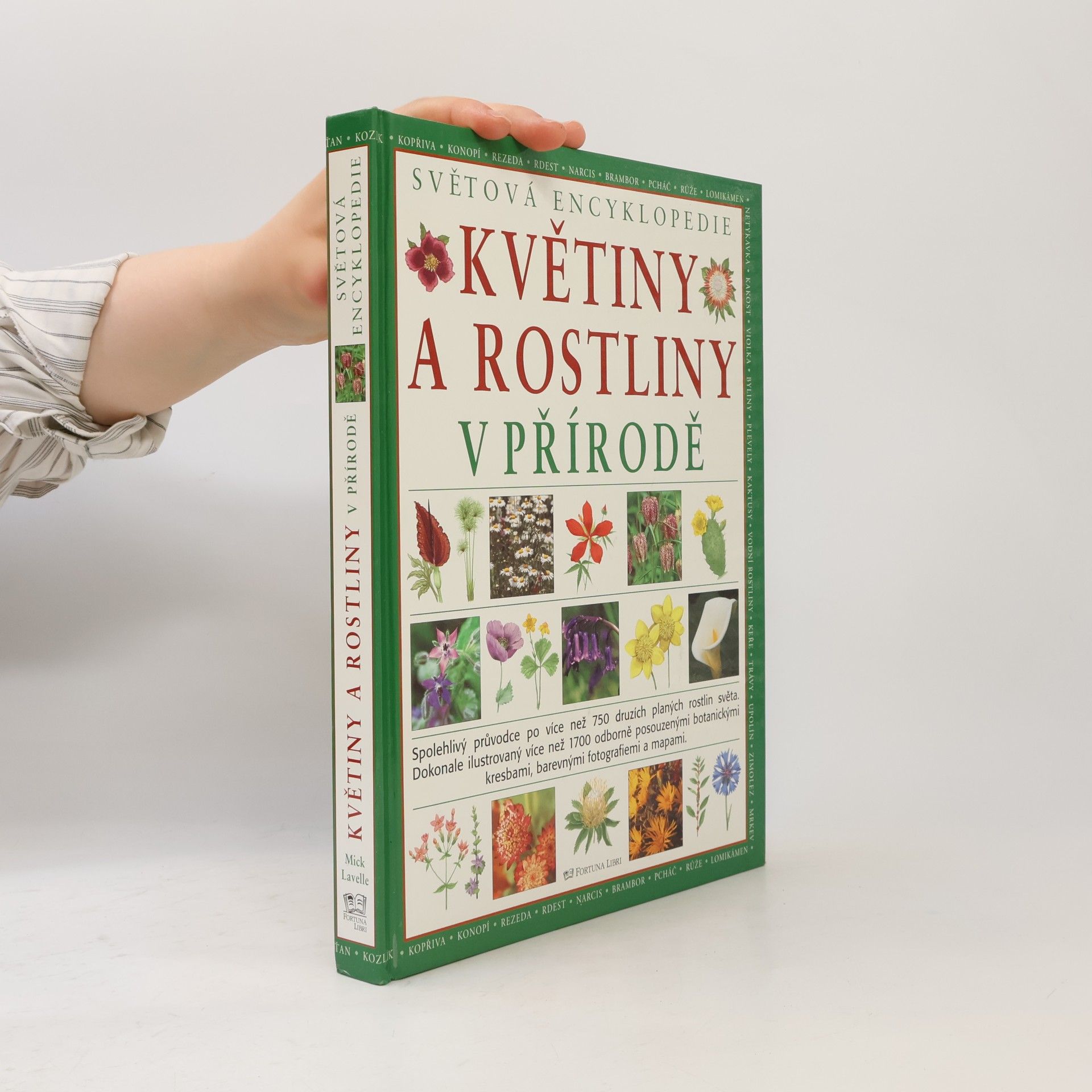 Mike Atkinson Květiny a rostliny v přírodě