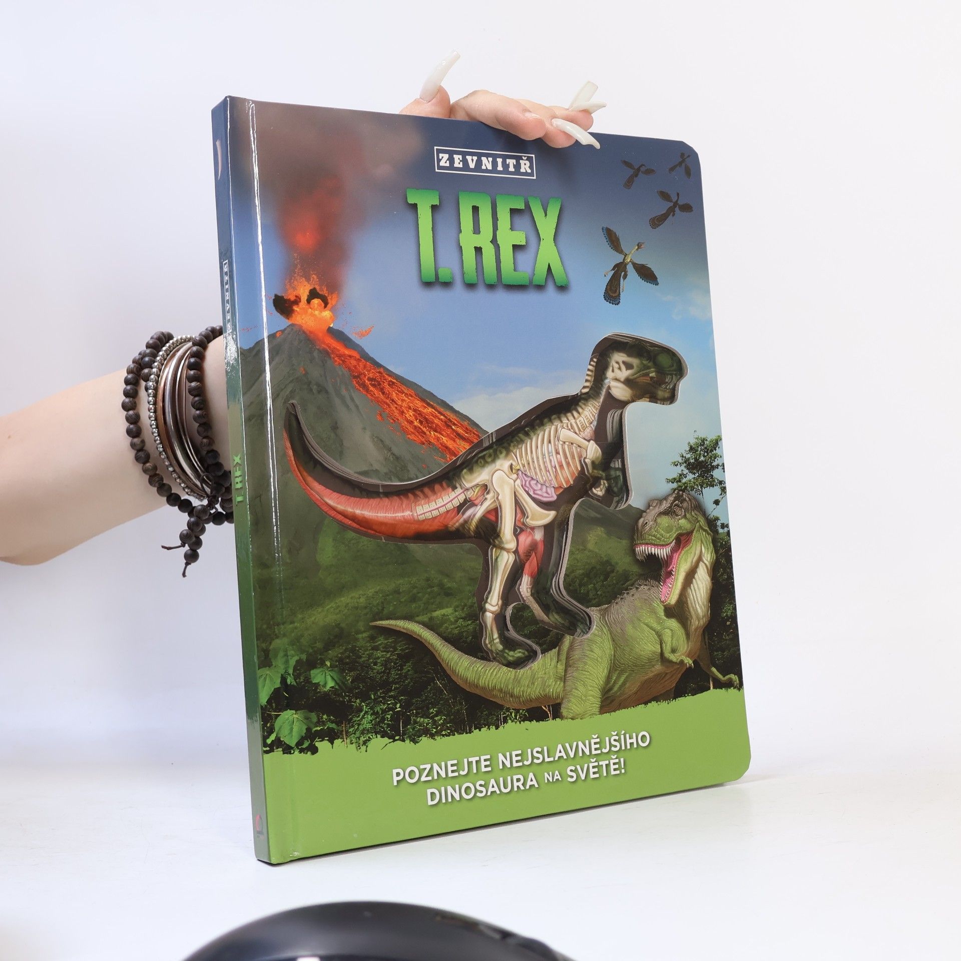 T-Rex zevnitř: Poznej nejslavnějšího dinosaura na světě!