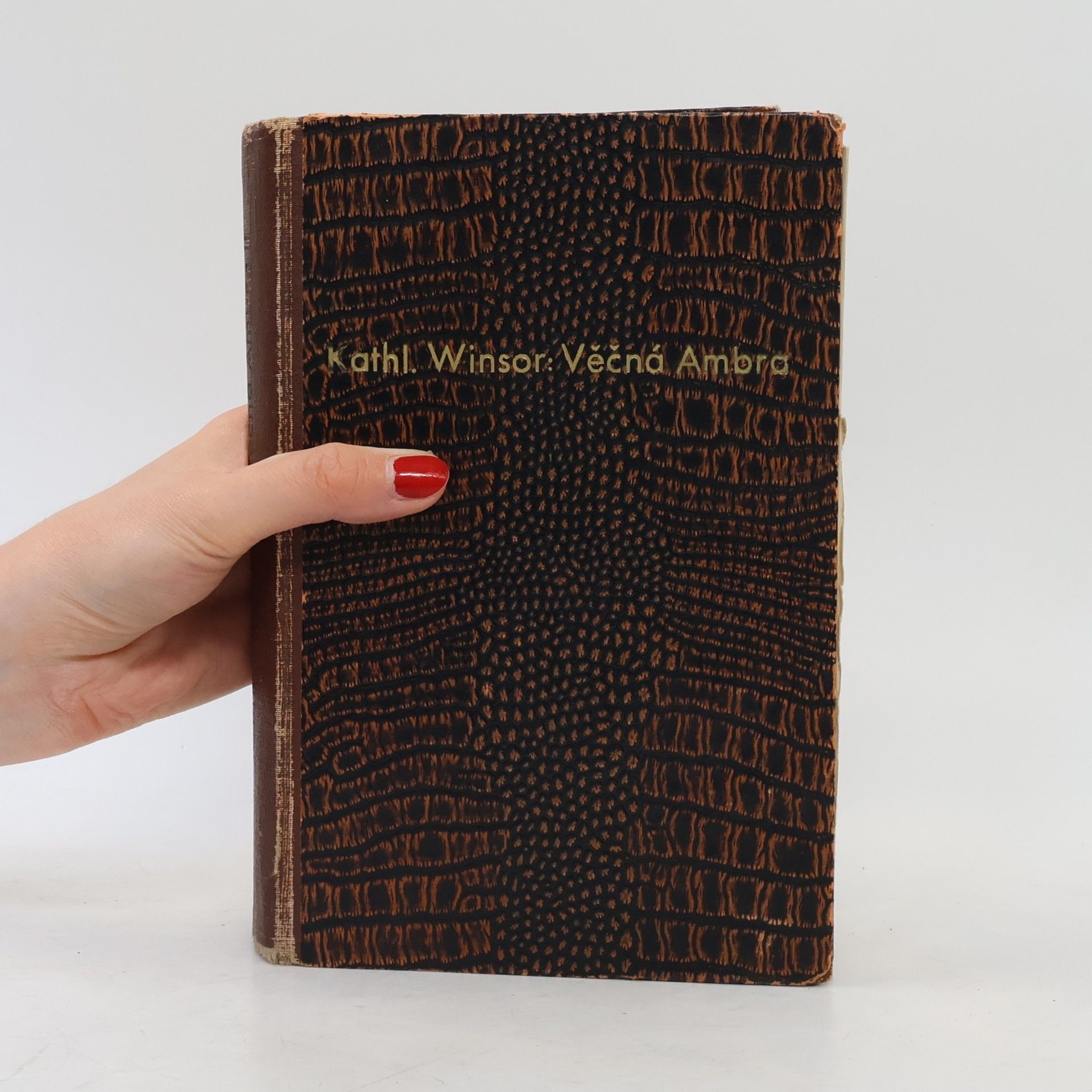 Kathleen Winsor Věčná Ambra