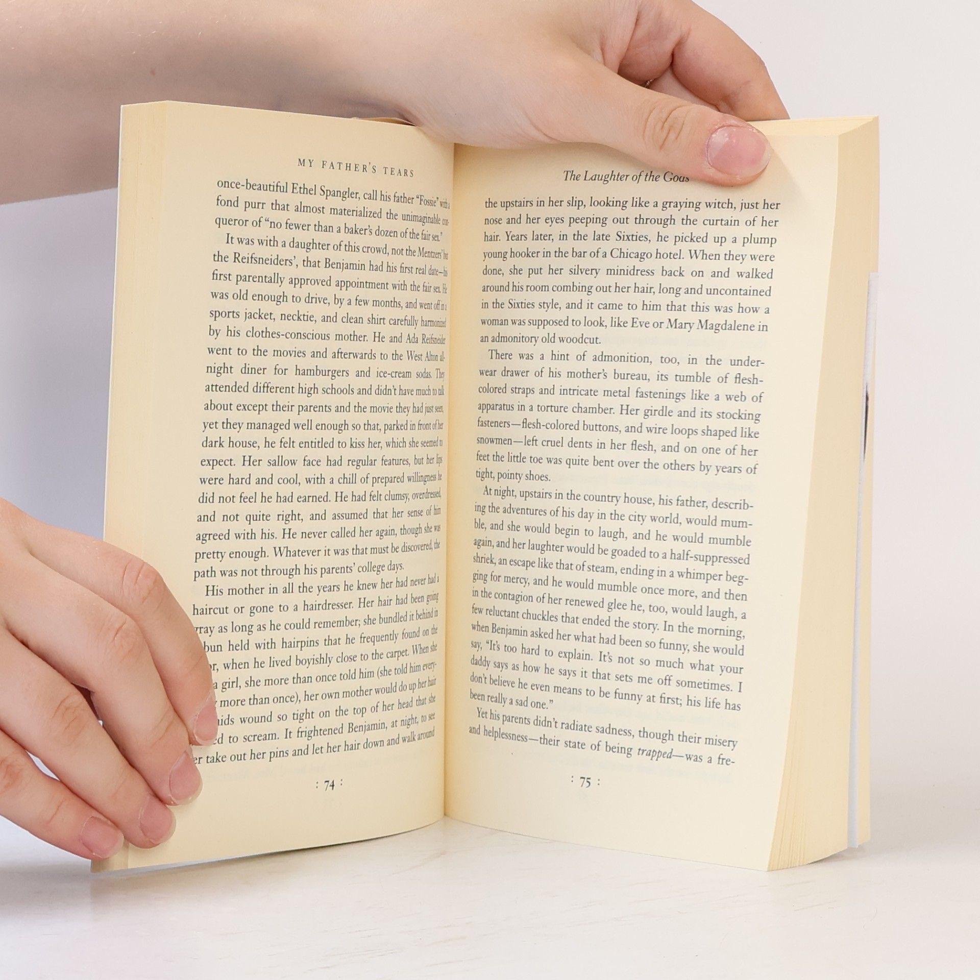 John Updike My Father´s Tears and Other Stories