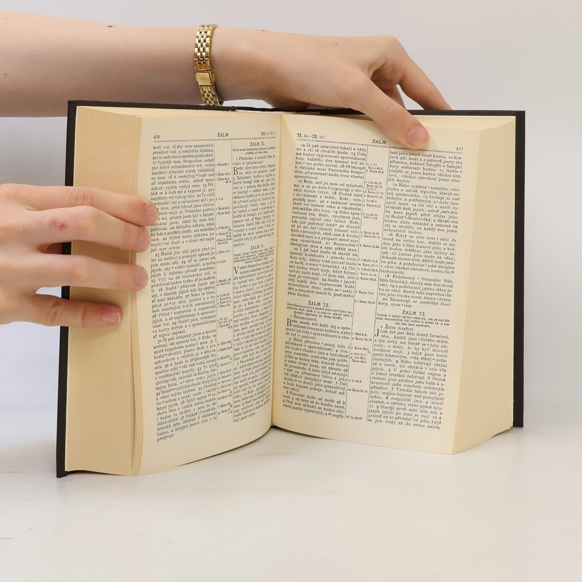 Autorenkollektiv Bible svatá aneb všecka svatá písma Starého i Nového zákona