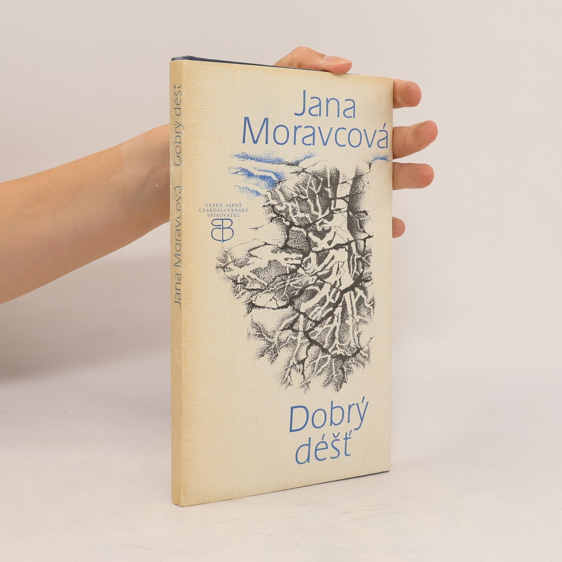 Moravcová Jana Dobrý déšť