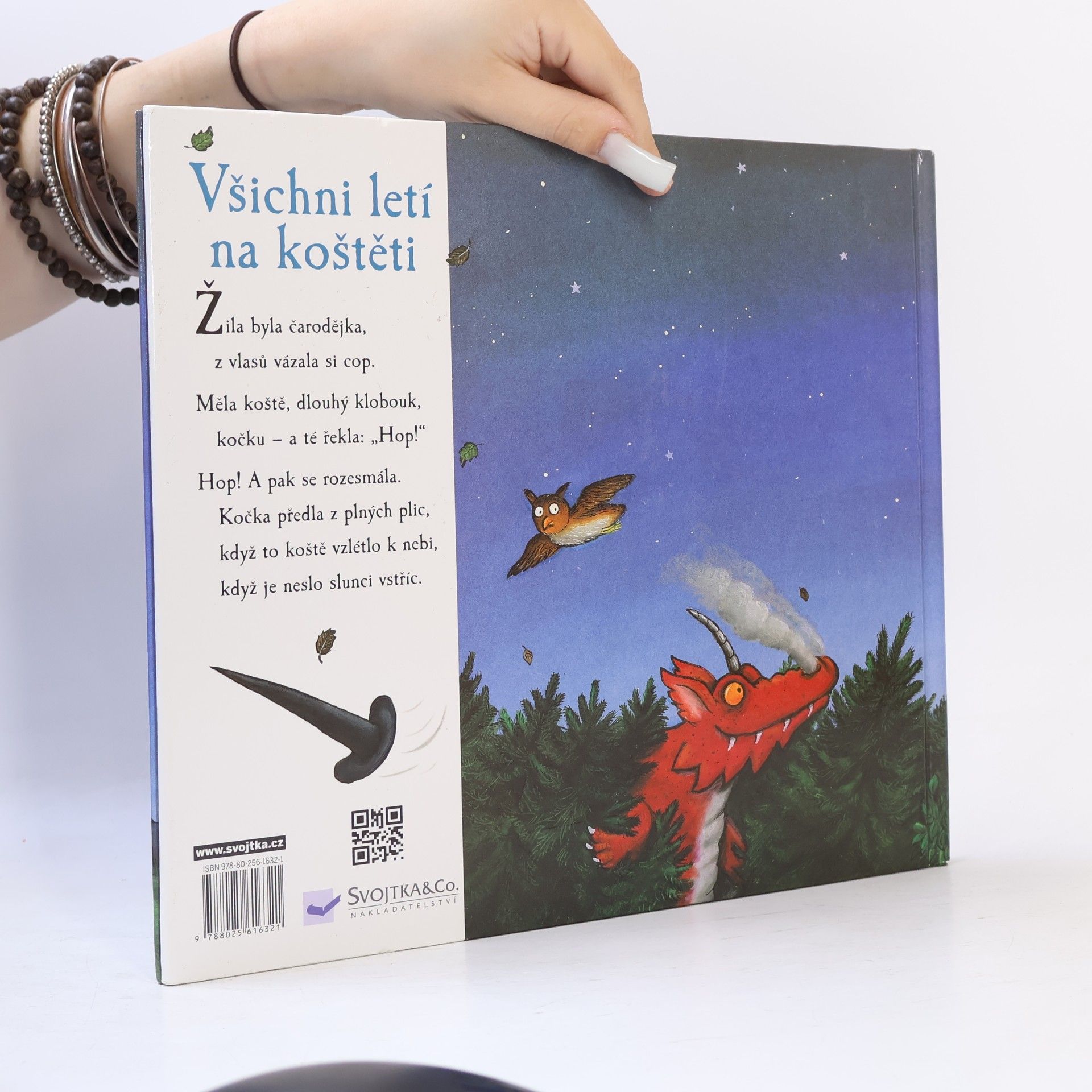 Julia Donaldson Všichni letí na koštěti