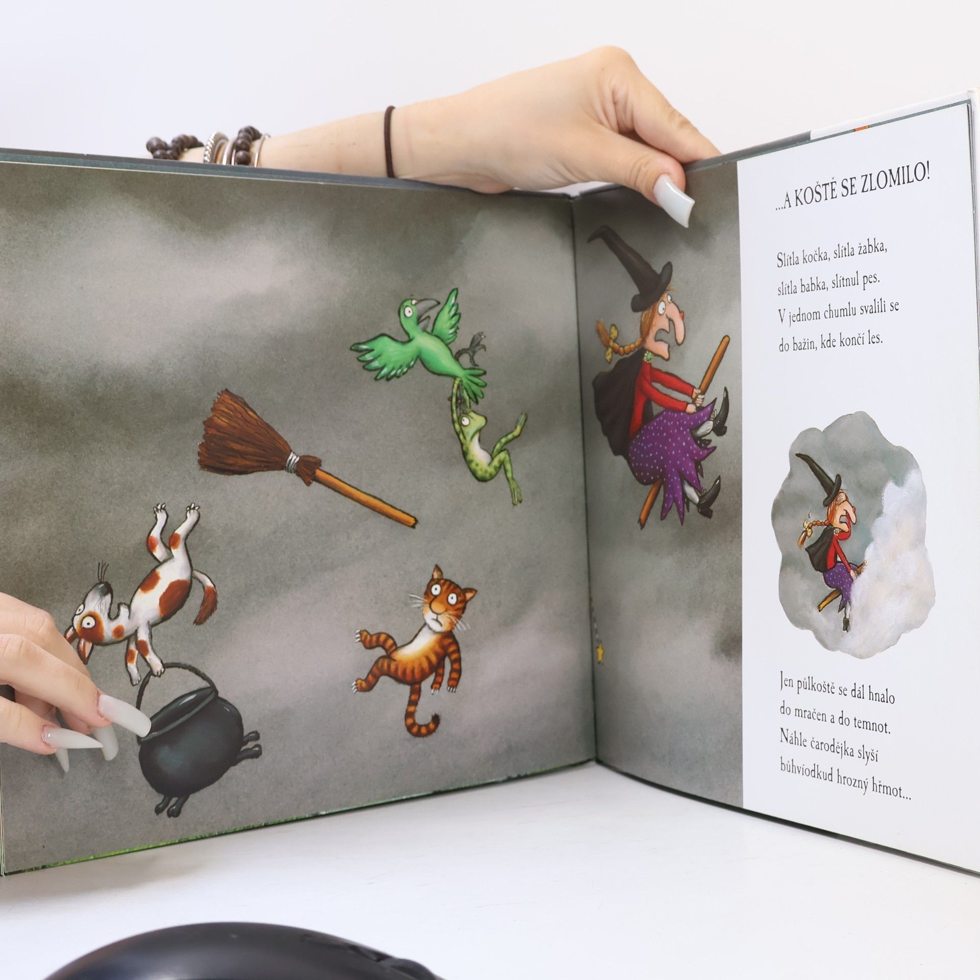 Julia Donaldson Všichni letí na koštěti