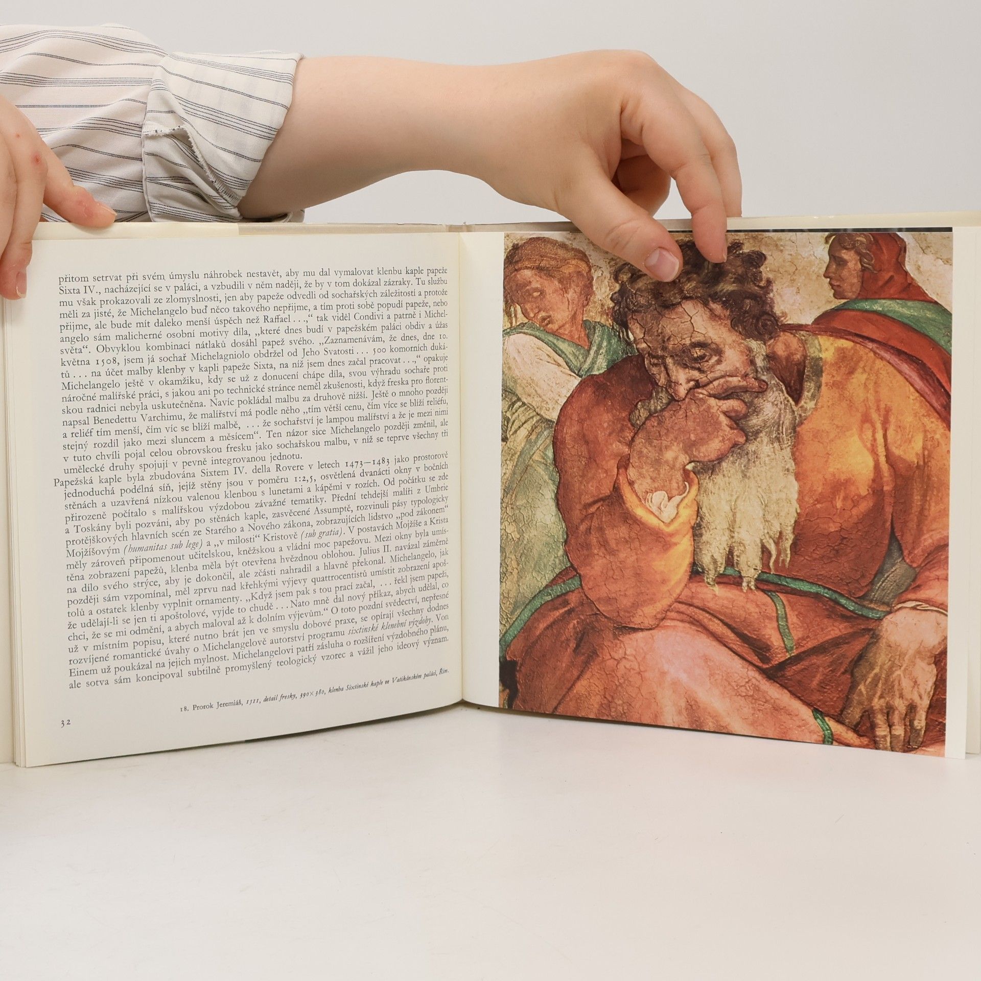 Oldřich J. Blažíček Michelangelo