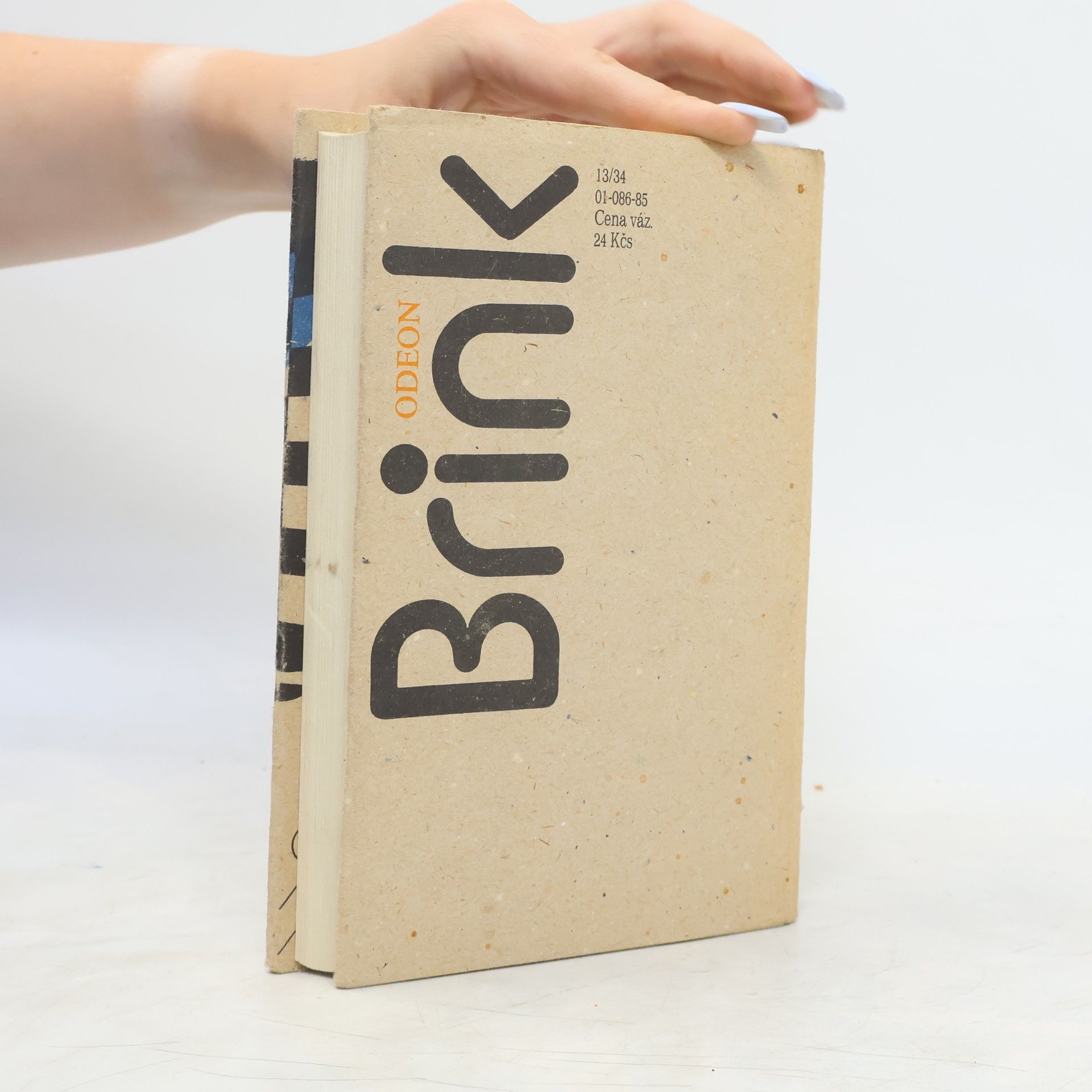André Brink Dlouhé bílé sucho