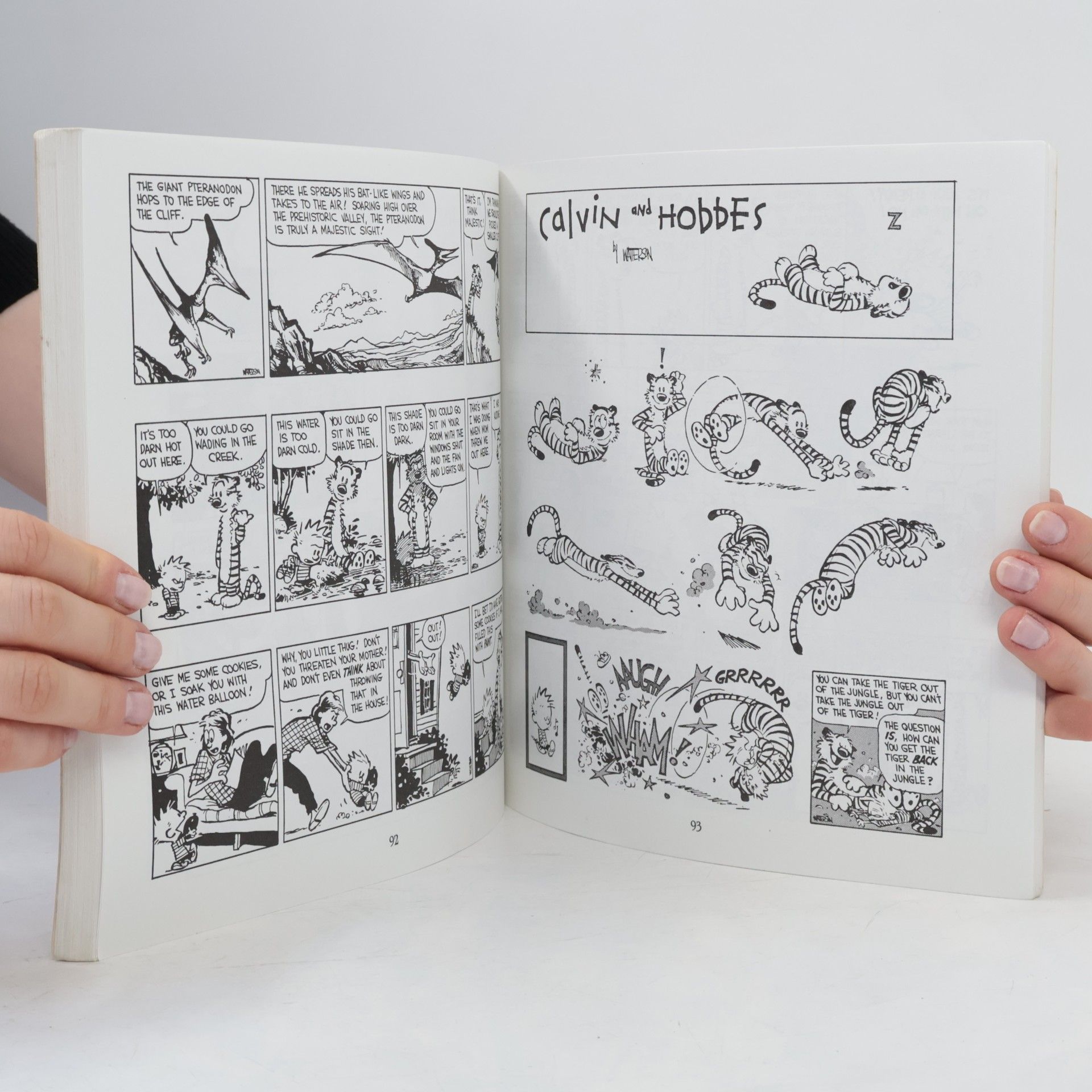 Bill Watterson The Revenge of the Baby-Sat