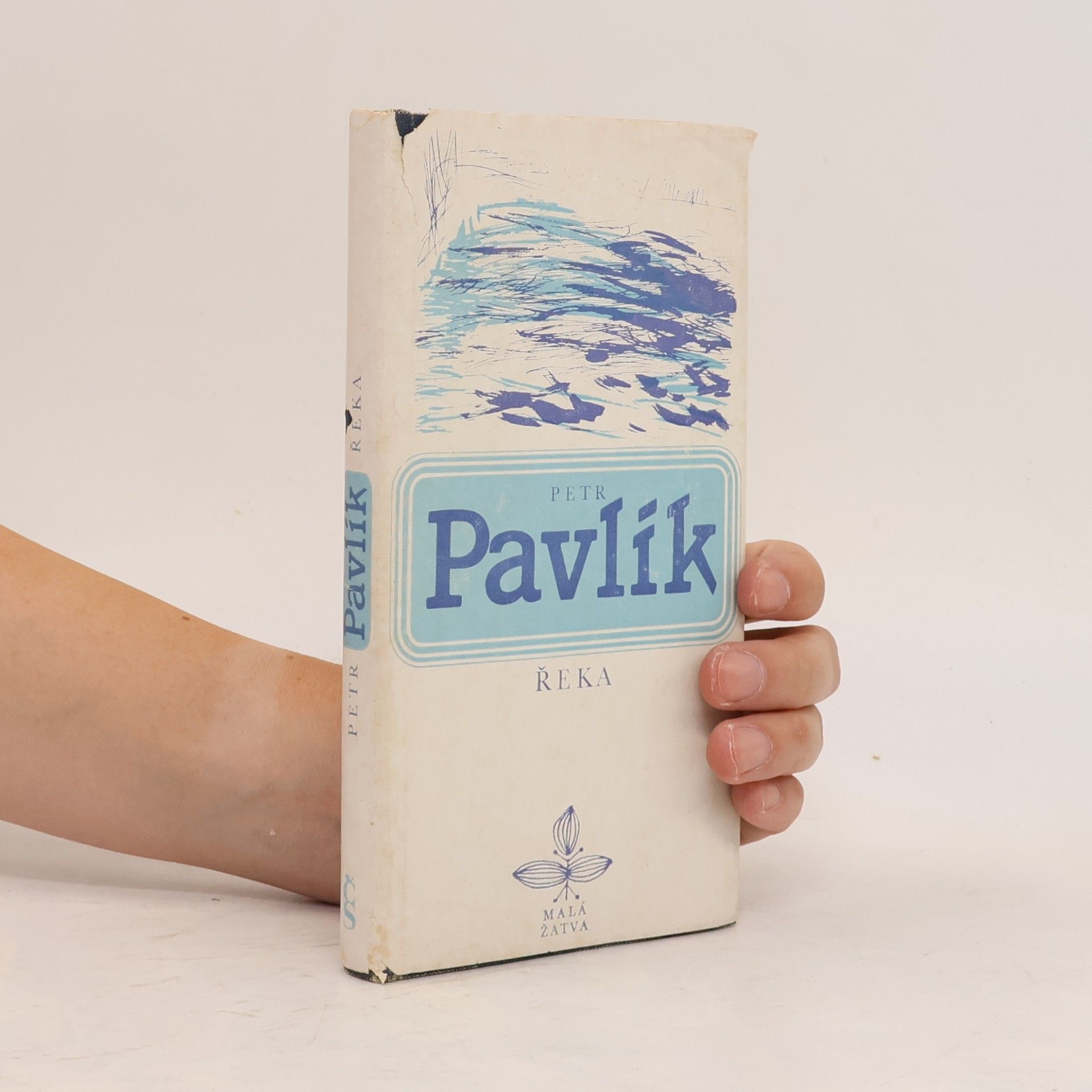 Petr Pavlík Řeka