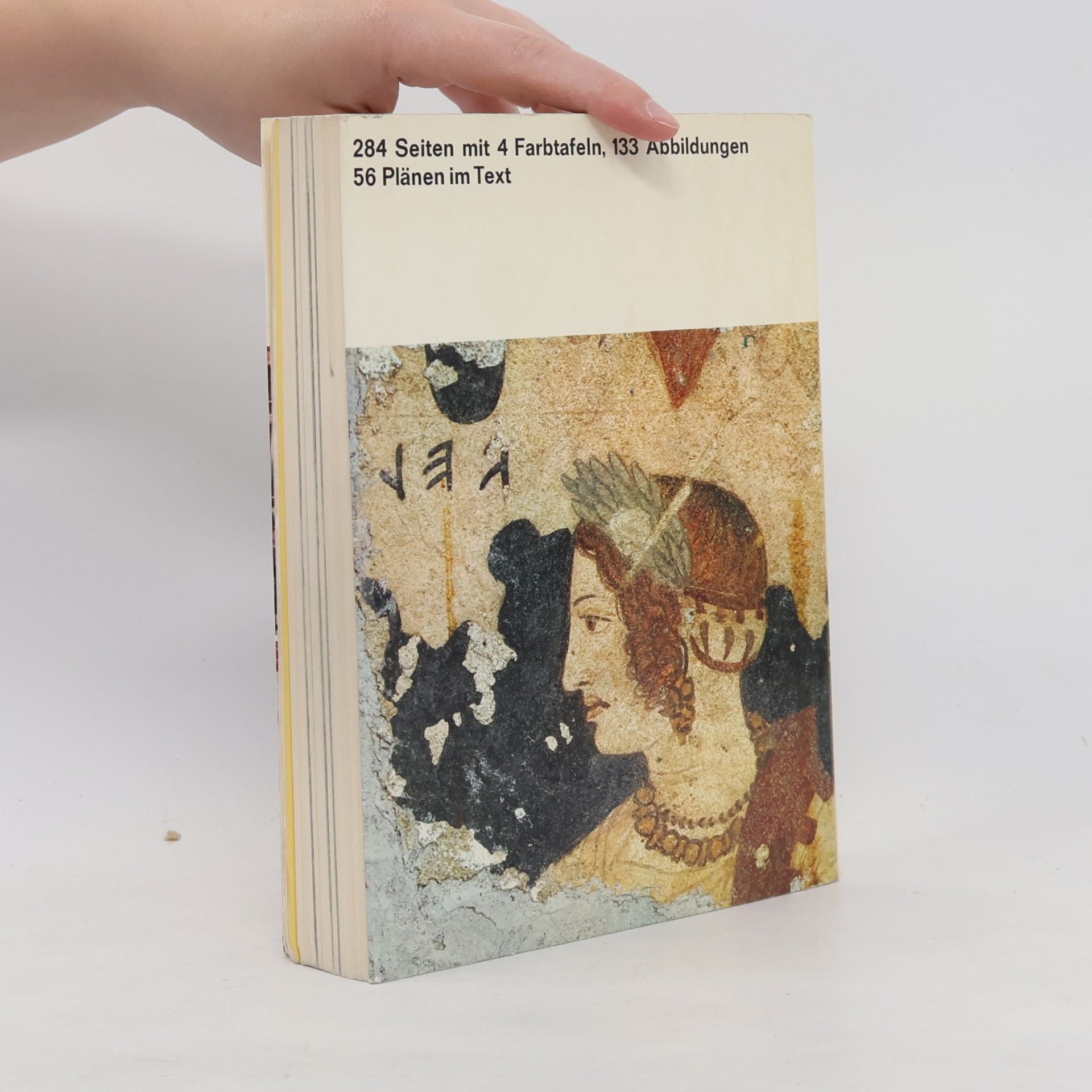 Robert Hess Das etruskische Italien