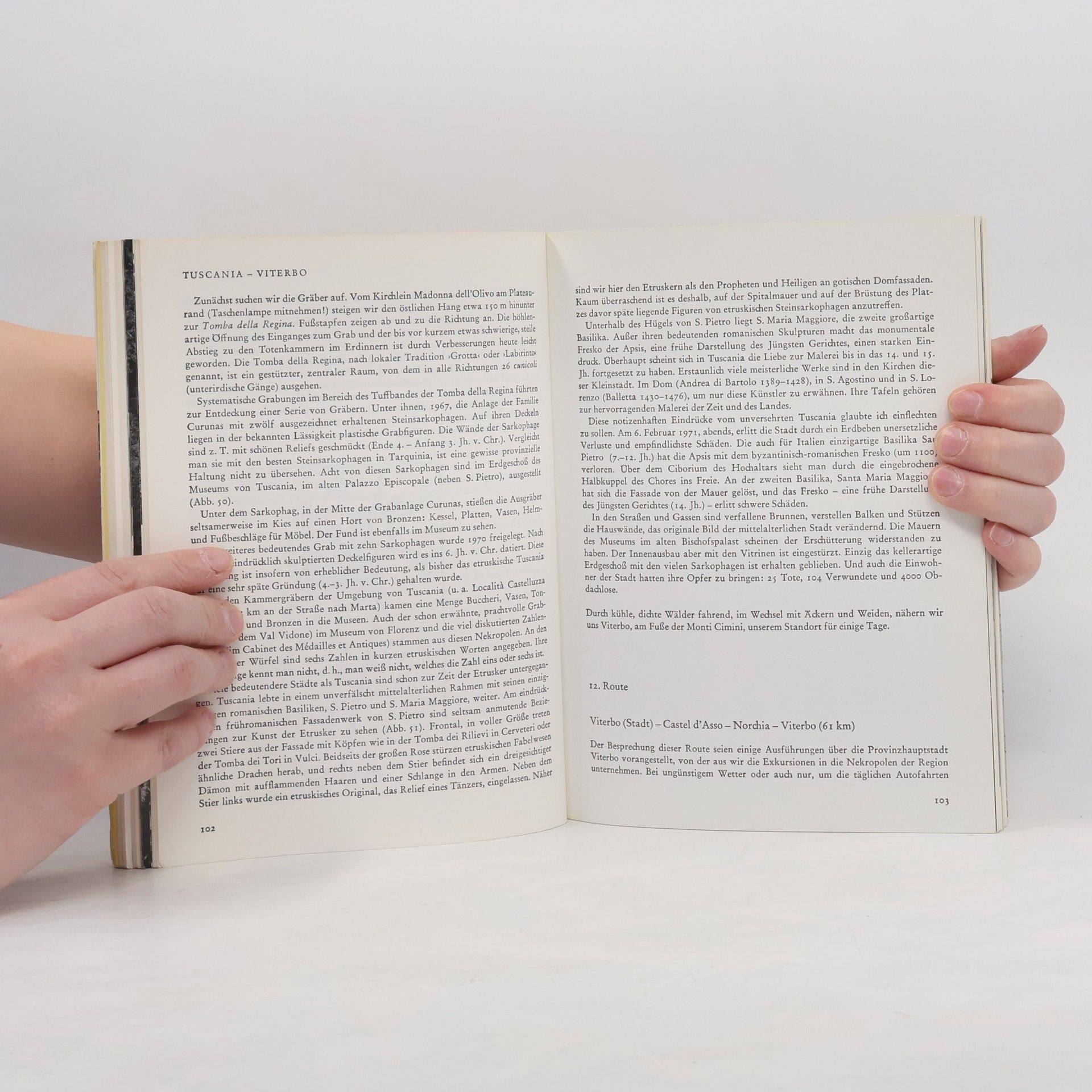 Robert Hess Das etruskische Italien