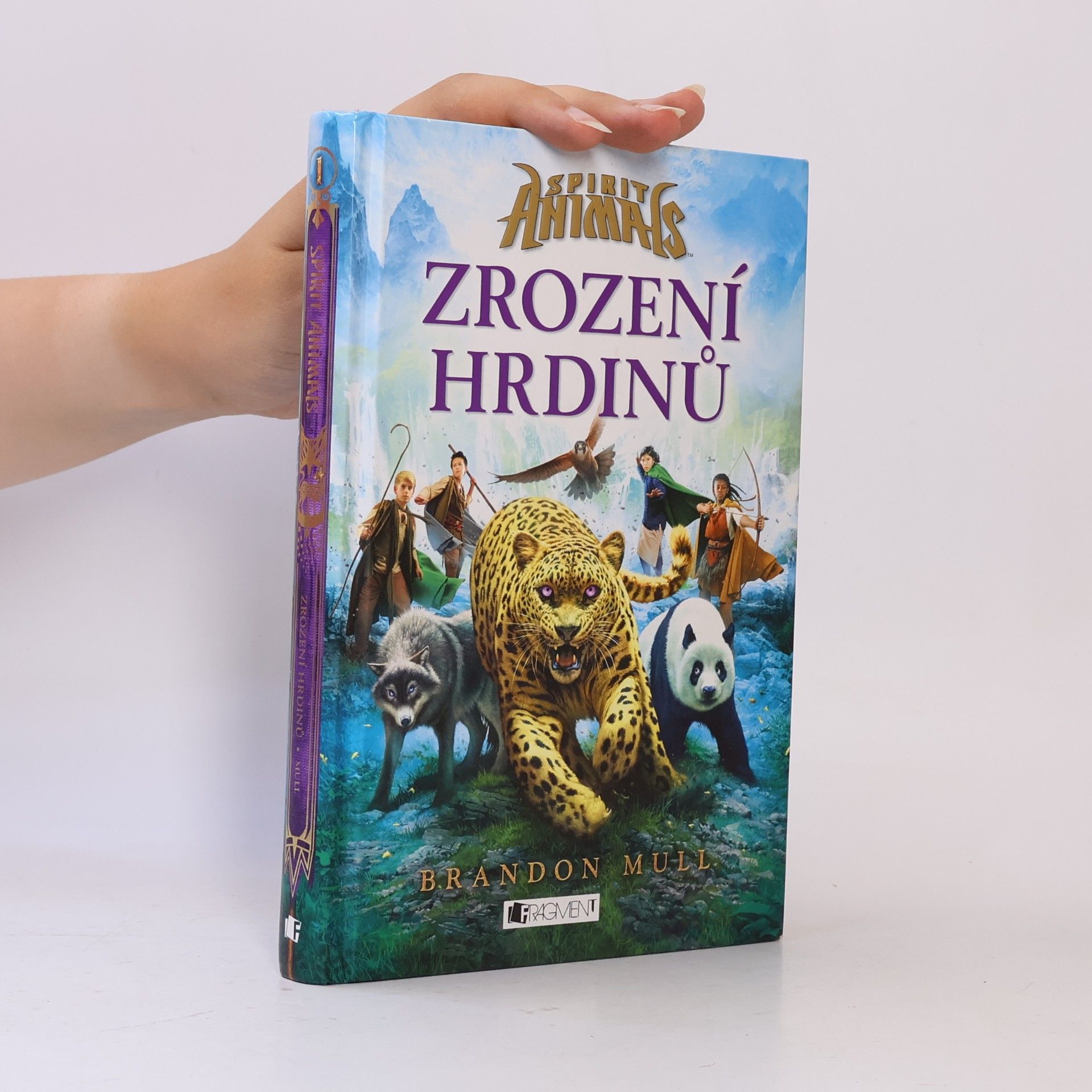 Brandon Mull Zrození hrdinů