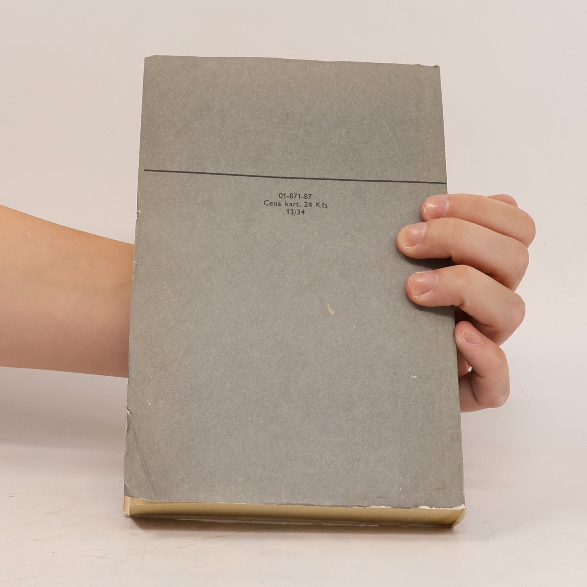 Erich Maria Remarque Vítězný oblouk