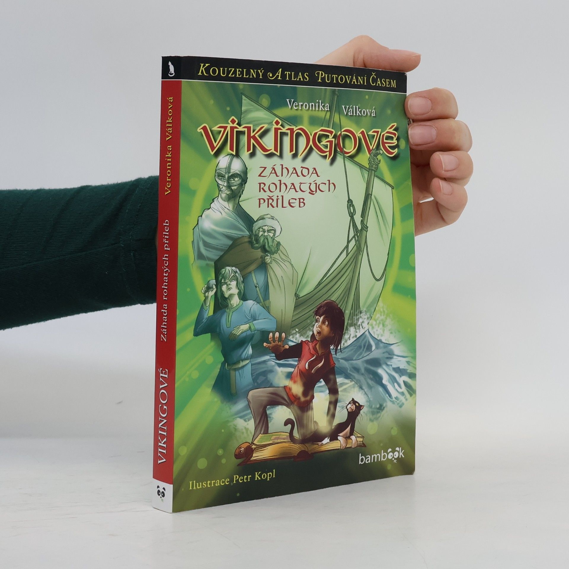 Petr Kopl Vikingové : záhada rohatých přileb