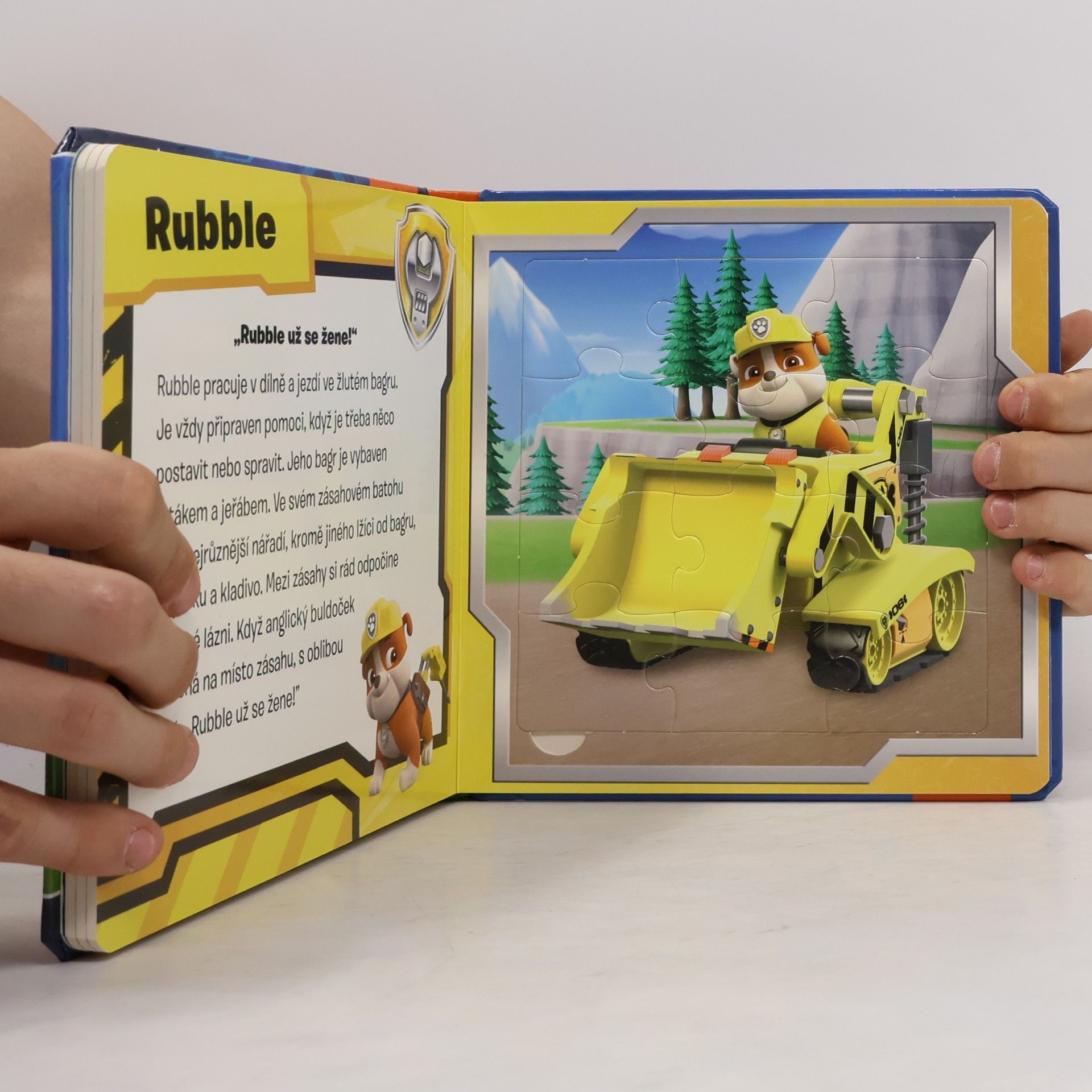 Autorenkollektiv Paw Patrol. Puzzlebuch