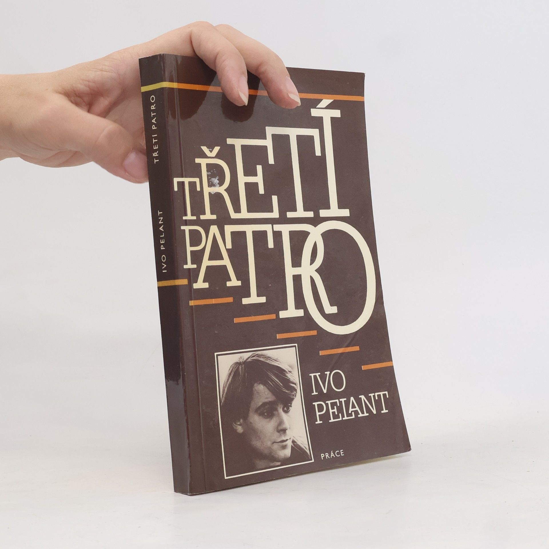 Ivo Pelant Třetí patro