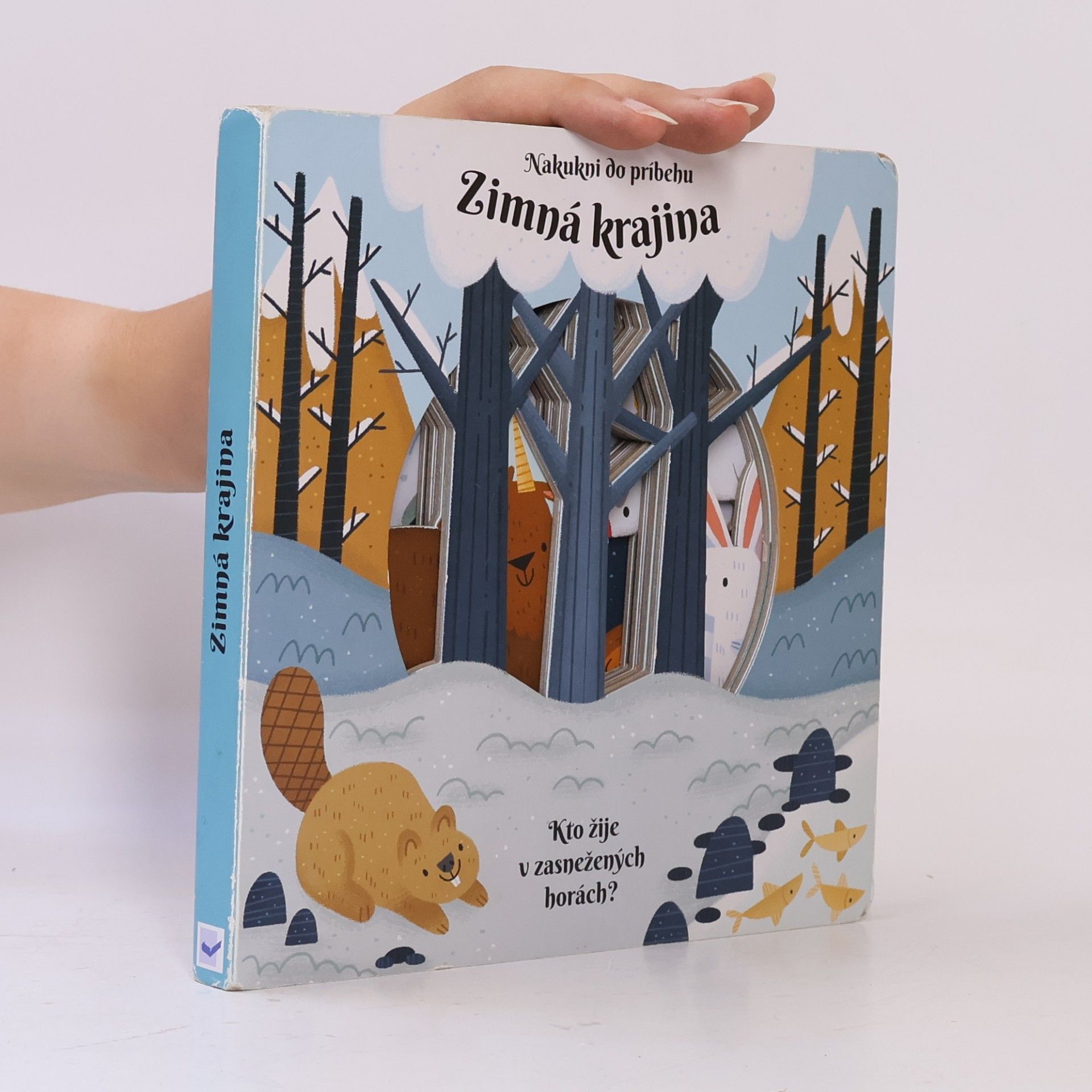 Auteurscollectief Zimná krajina