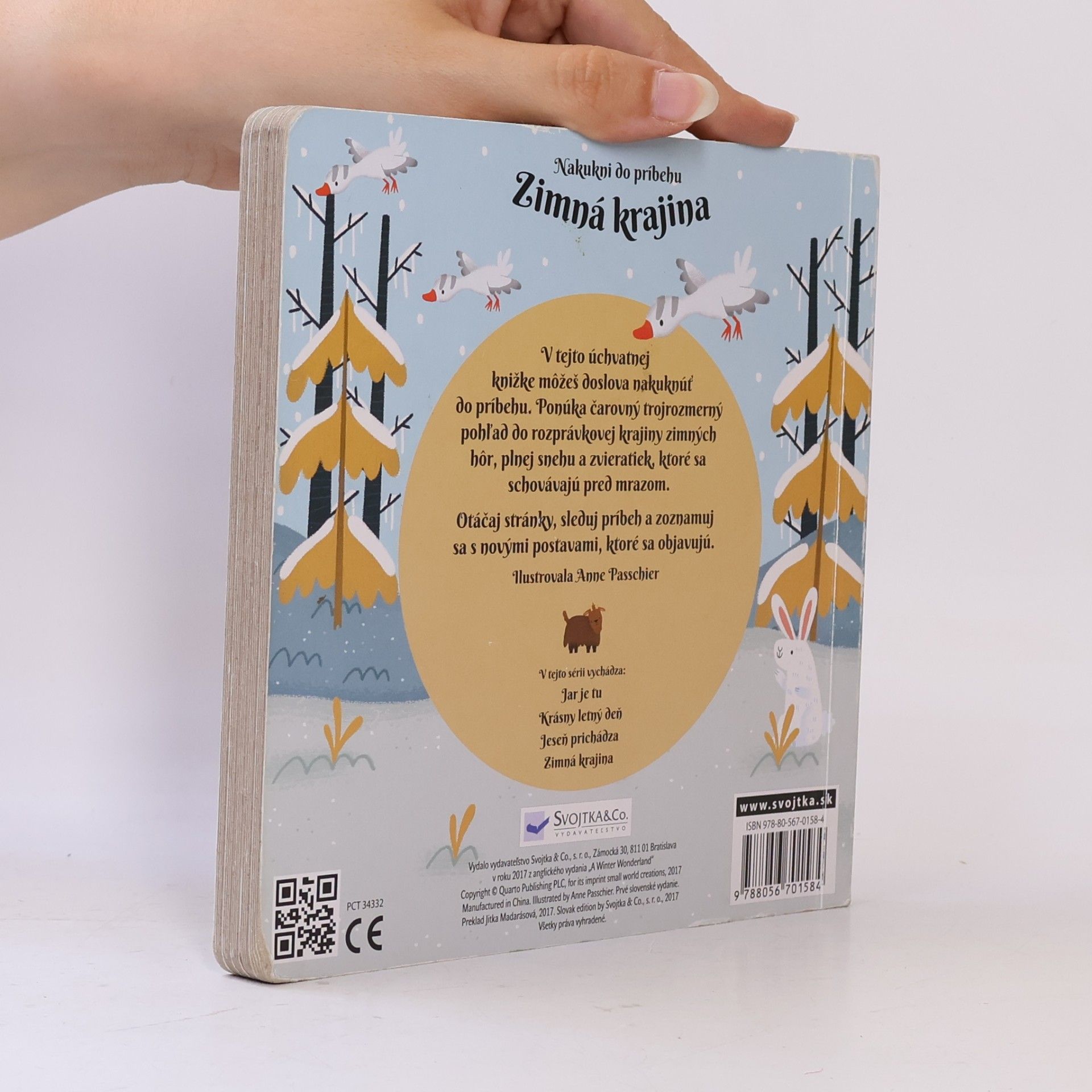 Kolektiv autorů Zimná krajina