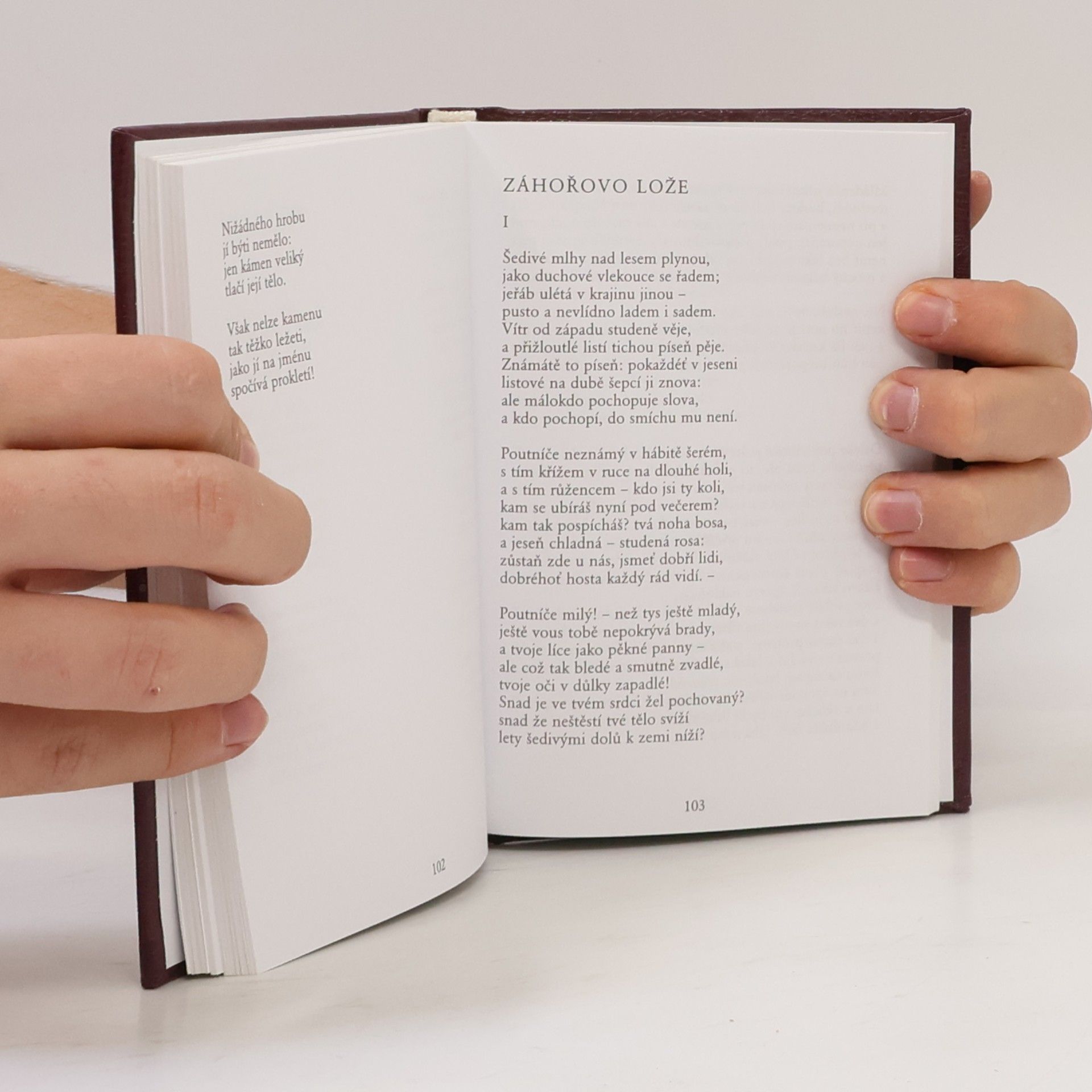 Karel Hynek Mácha To nejlepší z poezie 19. století: Máj, Kytice