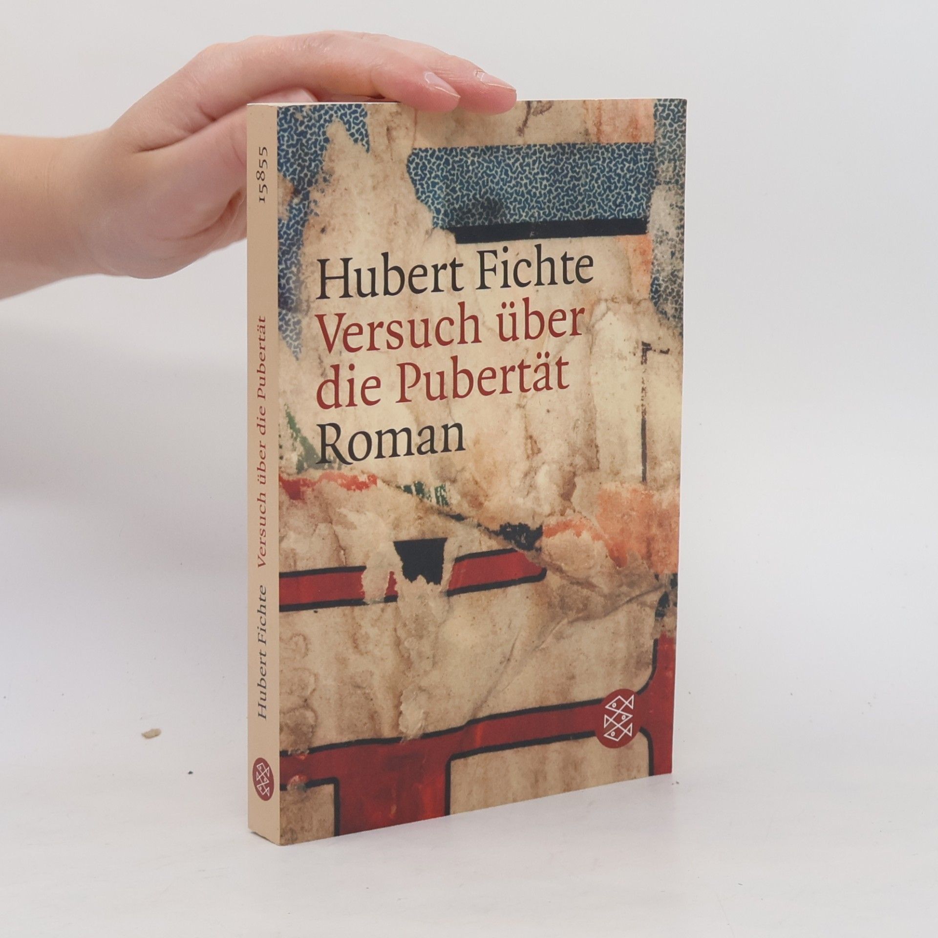 Versuch über die Pubertät