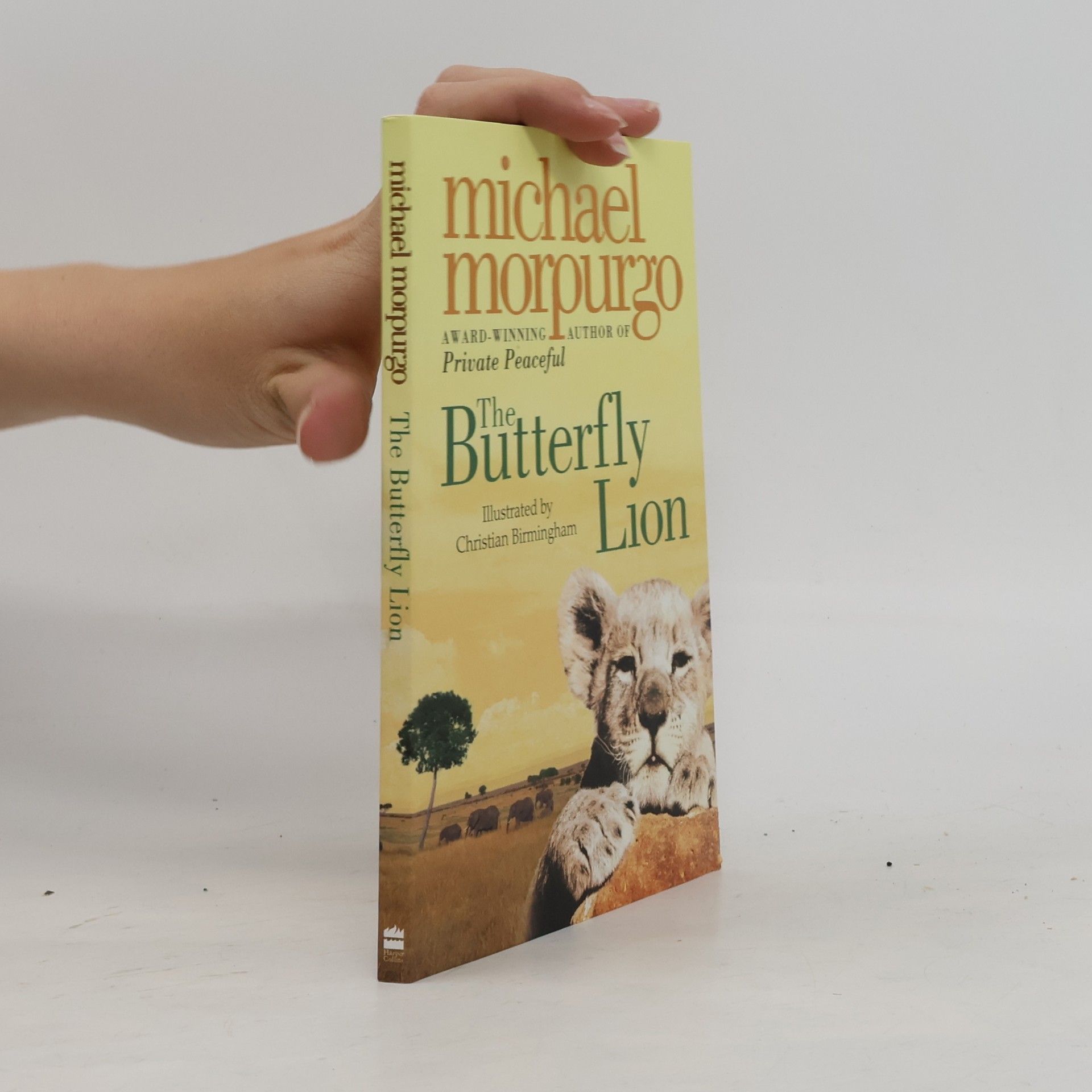 The Butterfly Lion