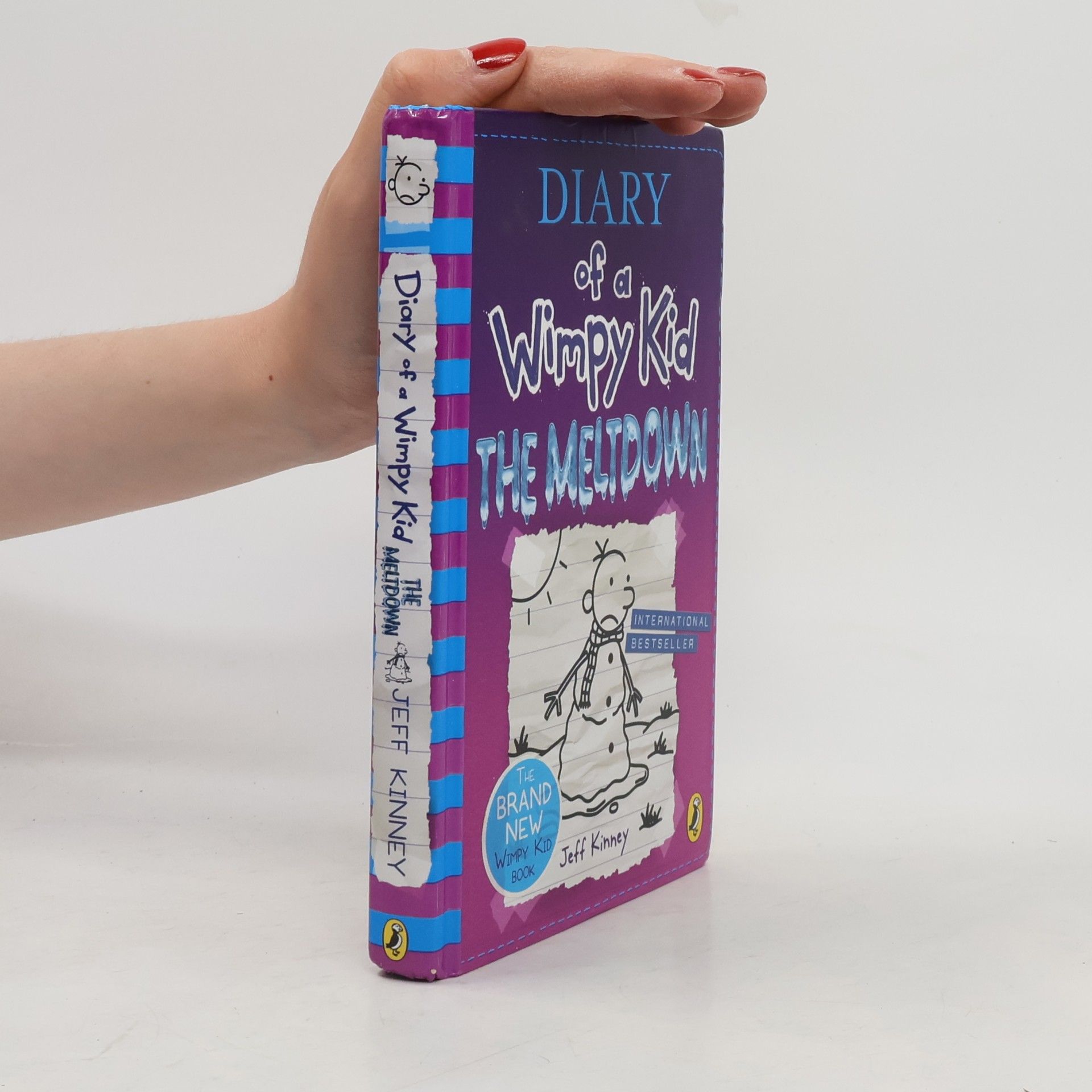 Jeff Kinney Diary of a Wimpy Kid : The Meltdown