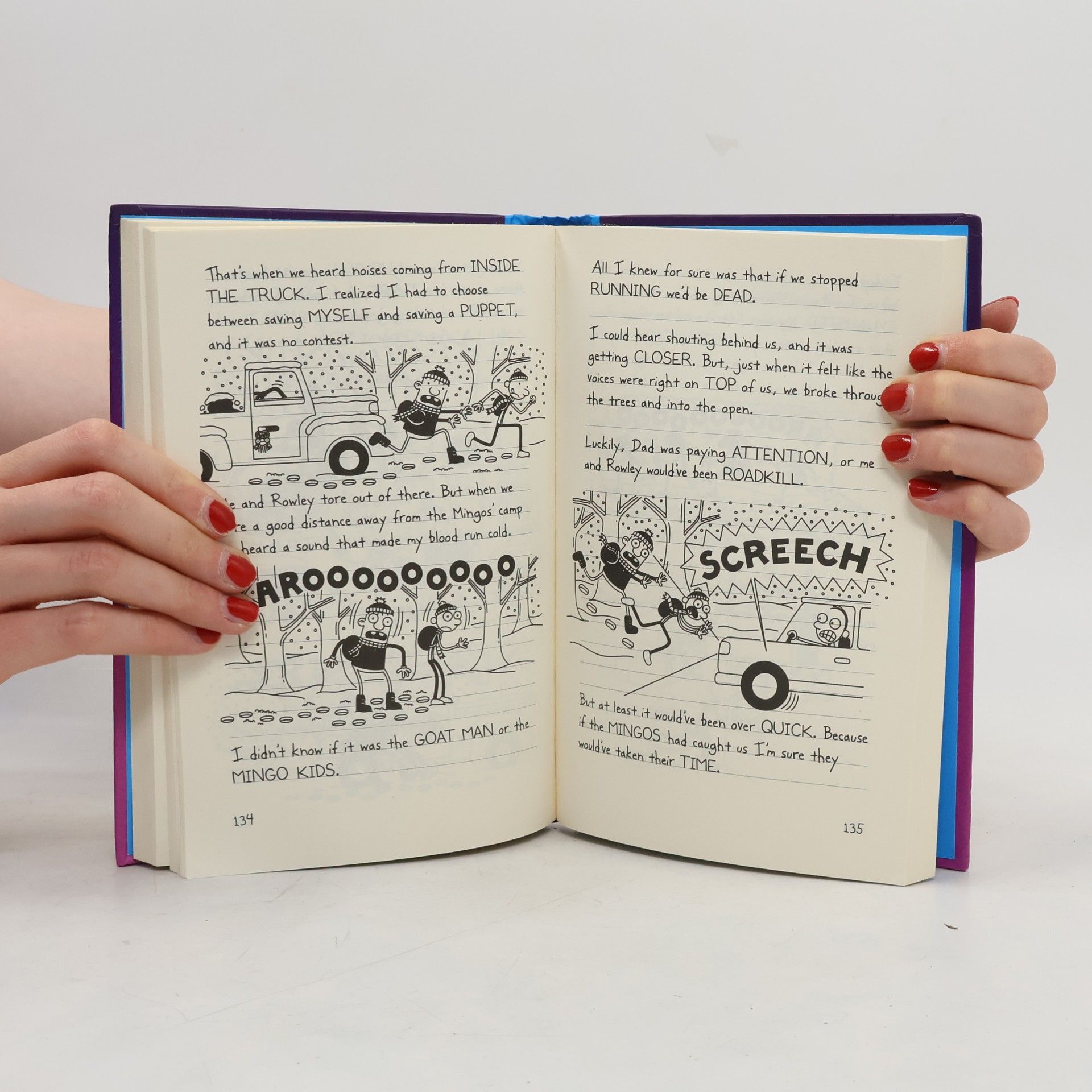 Jeff Kinney Diary of a Wimpy Kid : The Meltdown