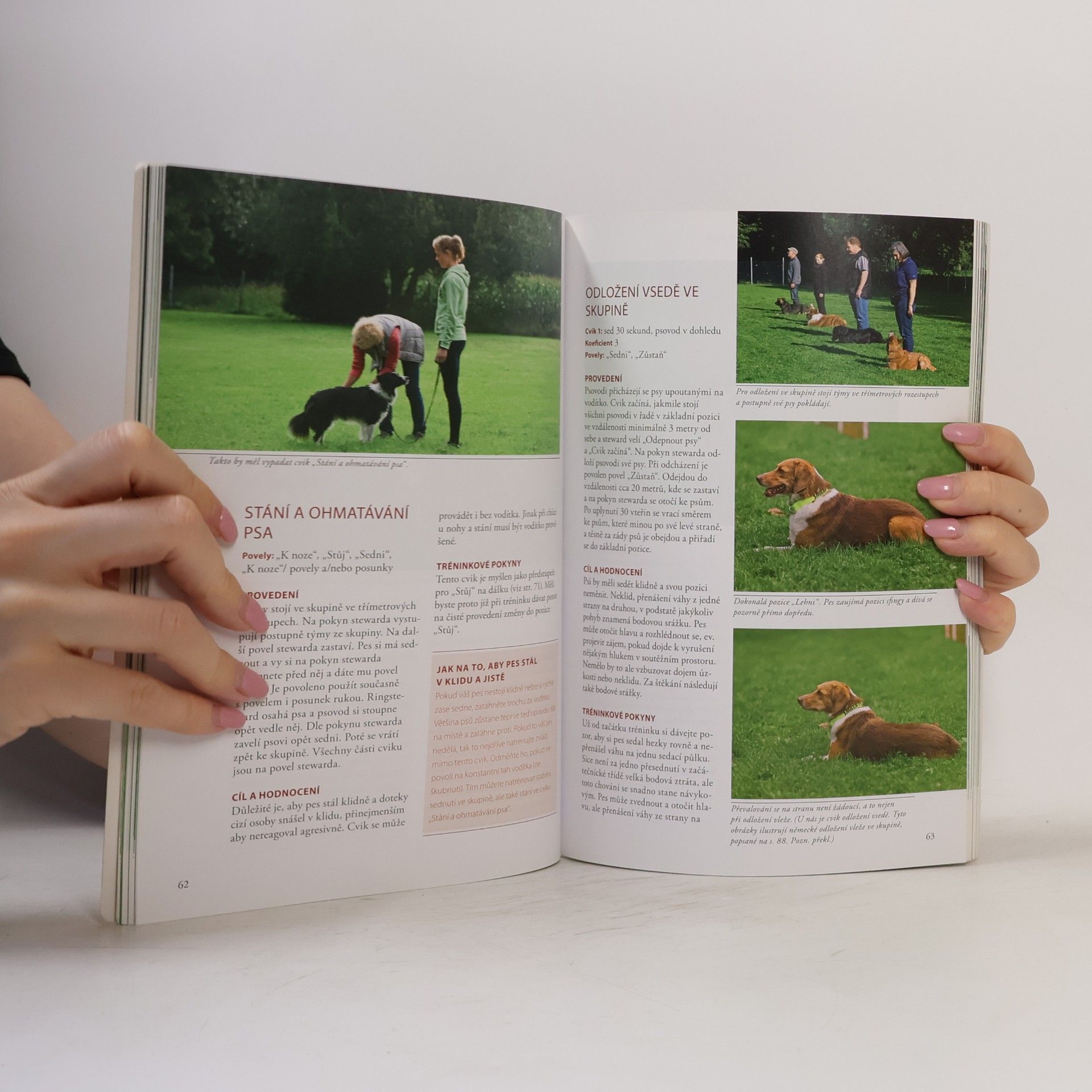 Helma Spona Obedience - Různé tréninkové metody pro jednotlivé cviky