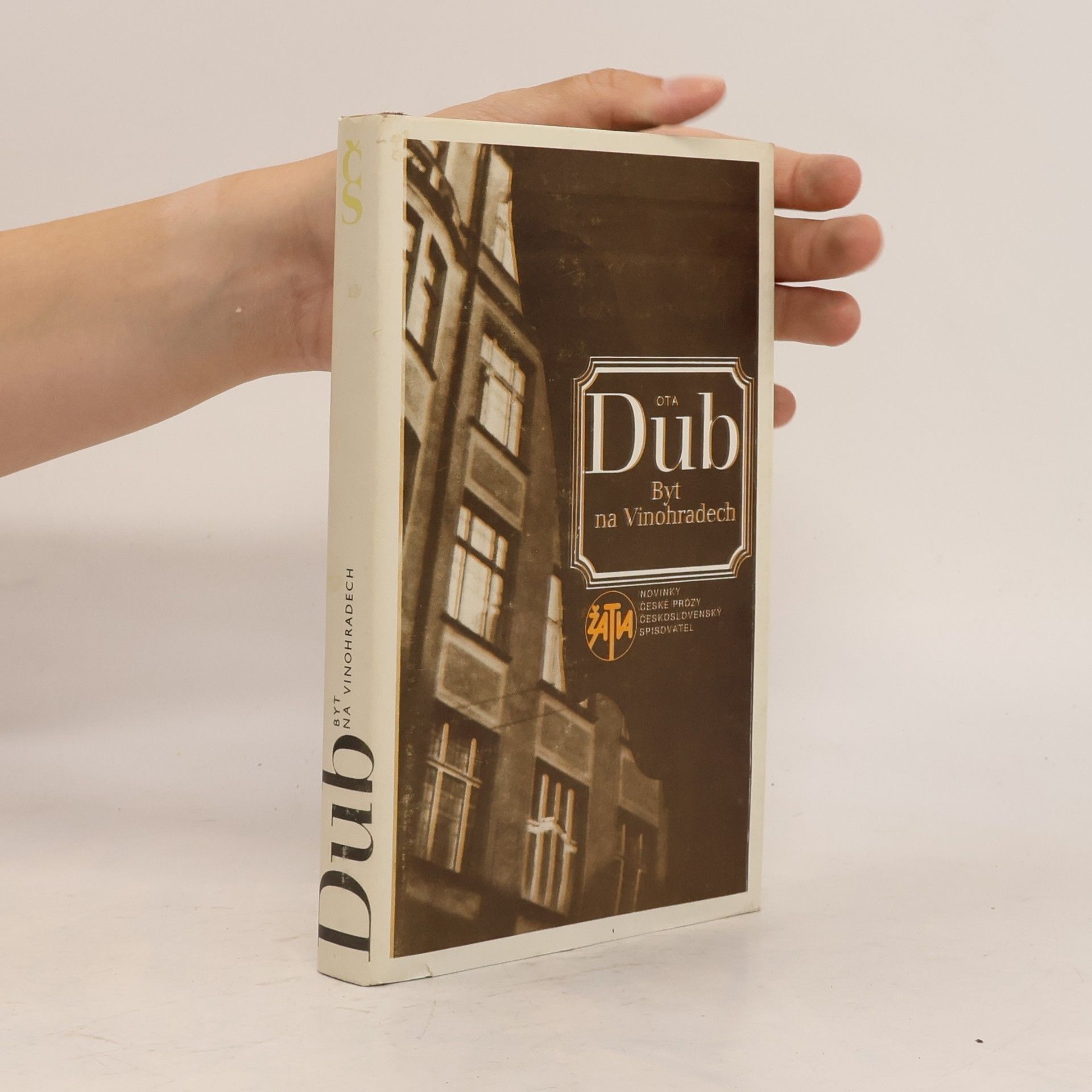 Ota Dub Byt na Vinohradech