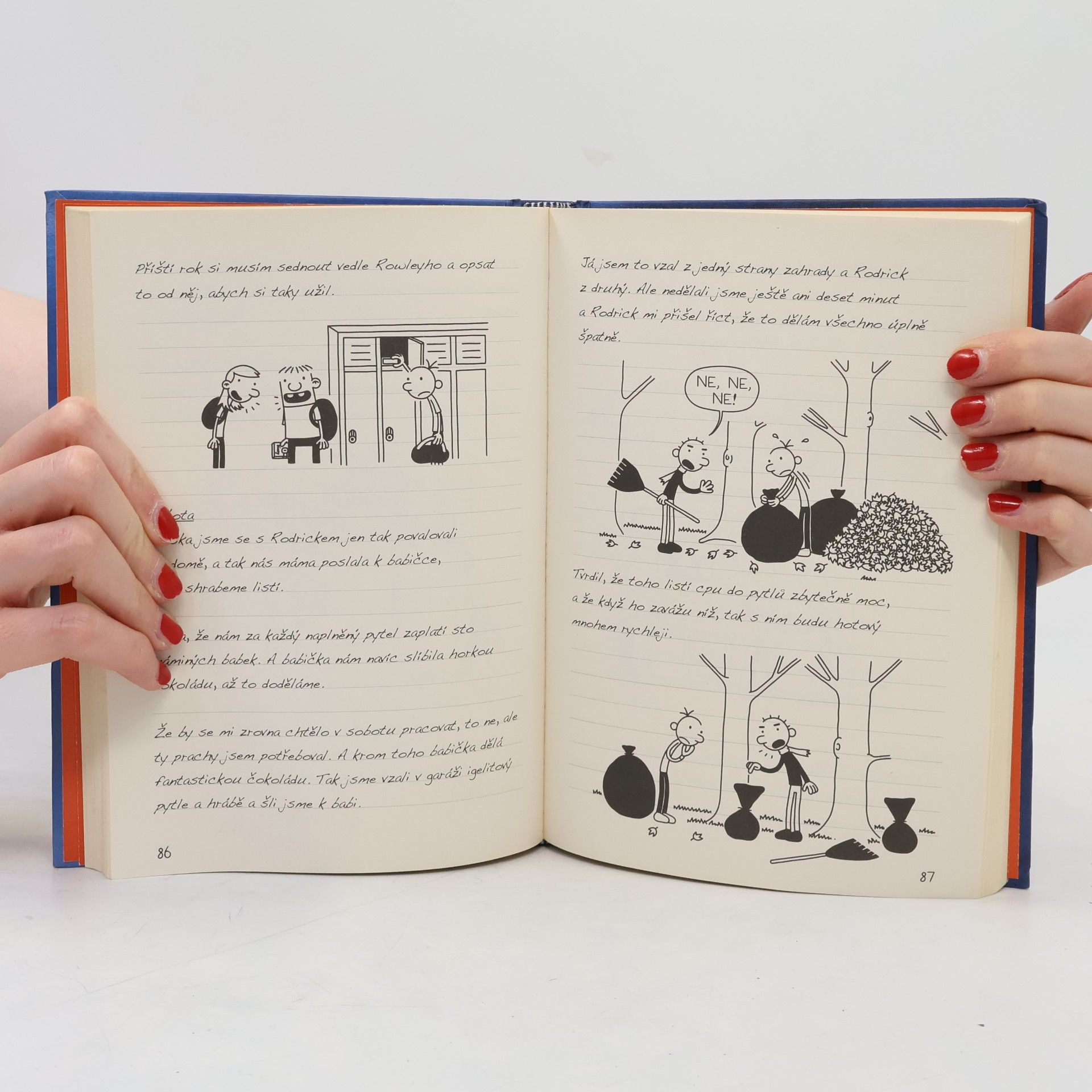 Jeff Kinney Deník malého poseroutky 2. Rodrick je king