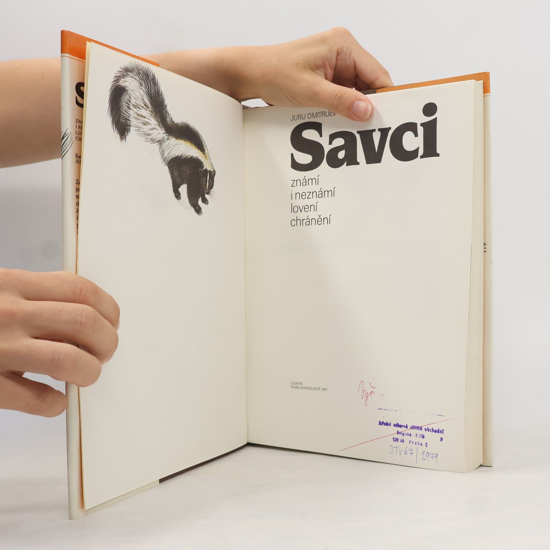 Jurij Dmitrijev Savci