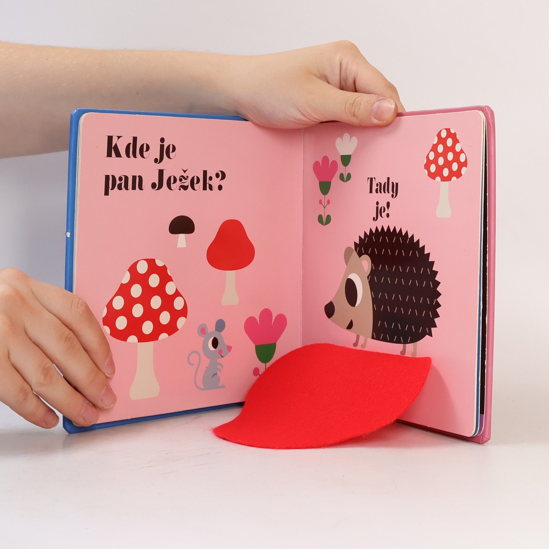 Ingela P. Arrhenius Kde je pan Sova?