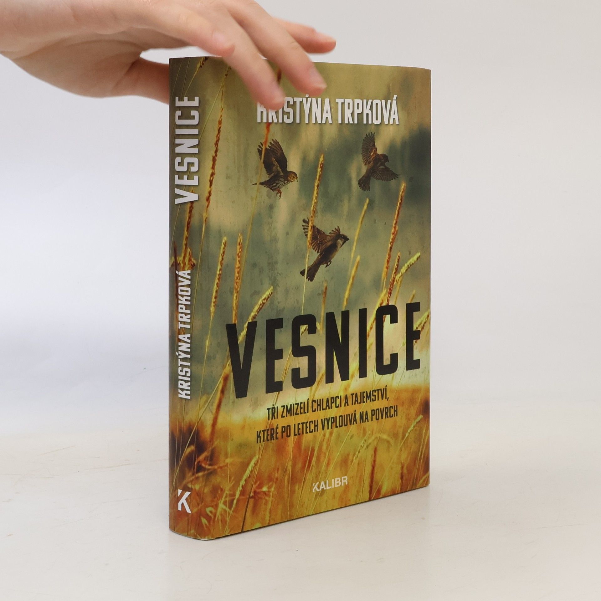 Kristýna Trpková Vesnice