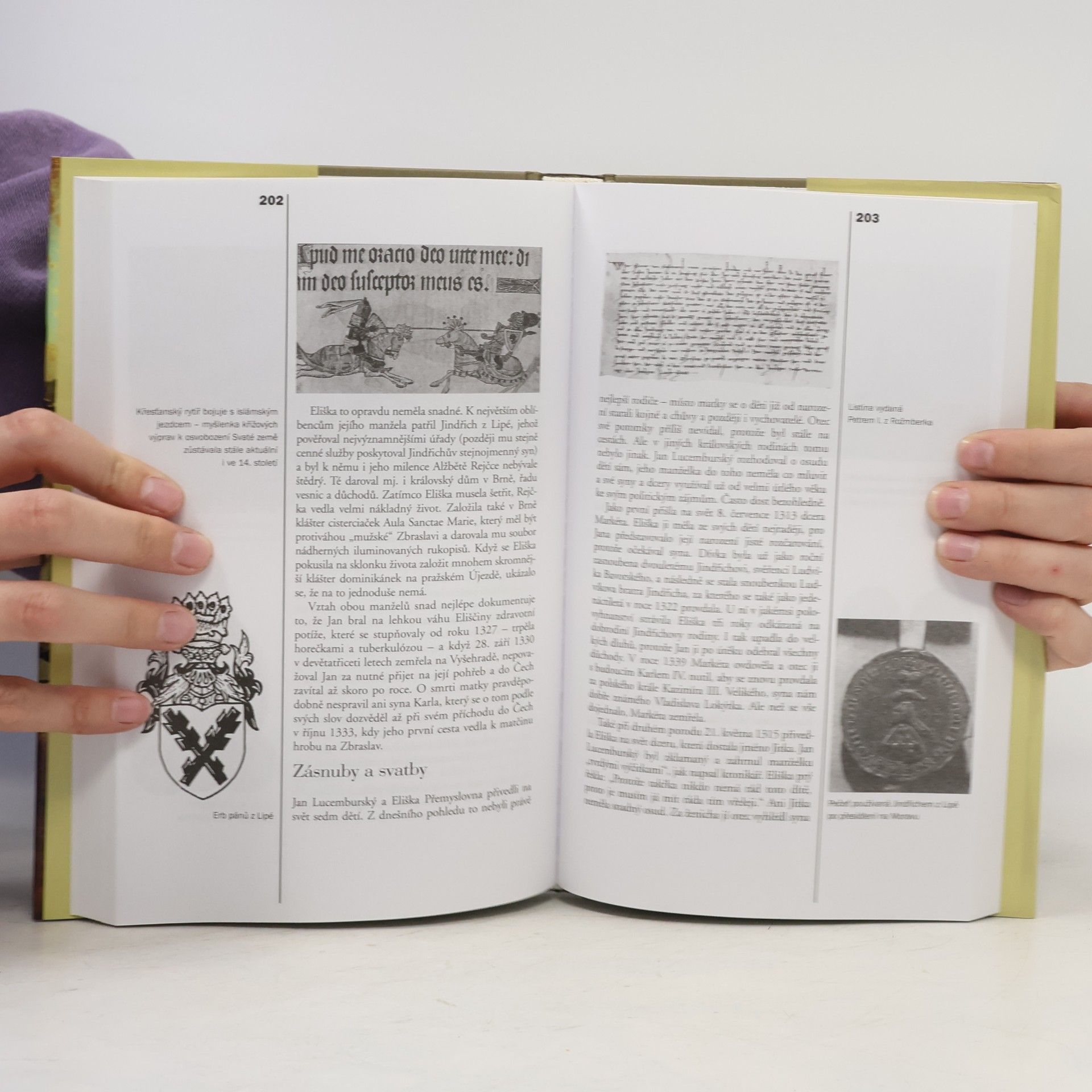 Jiří Bílek Hádanky naší minulosti. 6, Jasný pohled slepého krále?