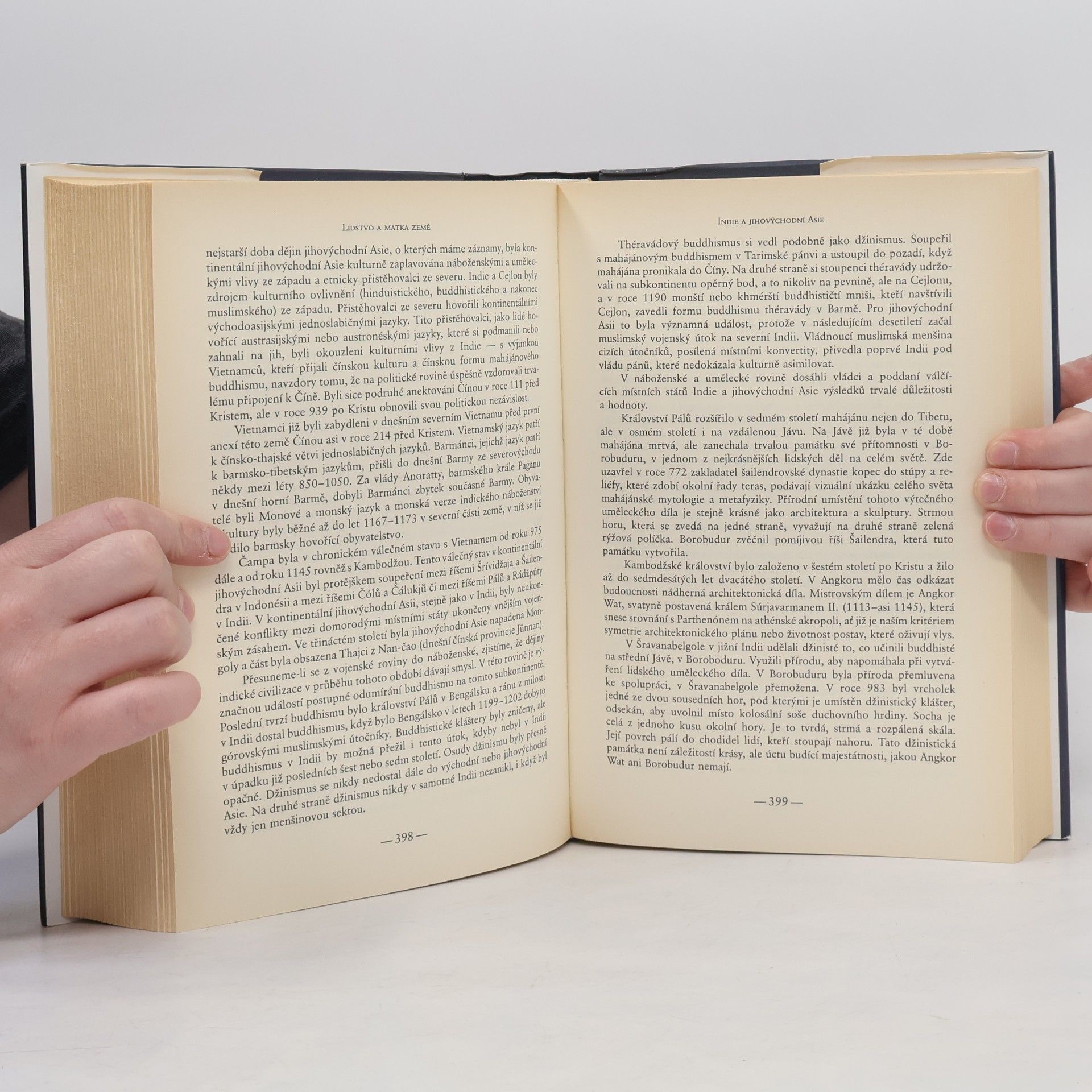 Arnold Joseph Toynbee Lidstvo a matka Země : Vyprávění o dějinách světa