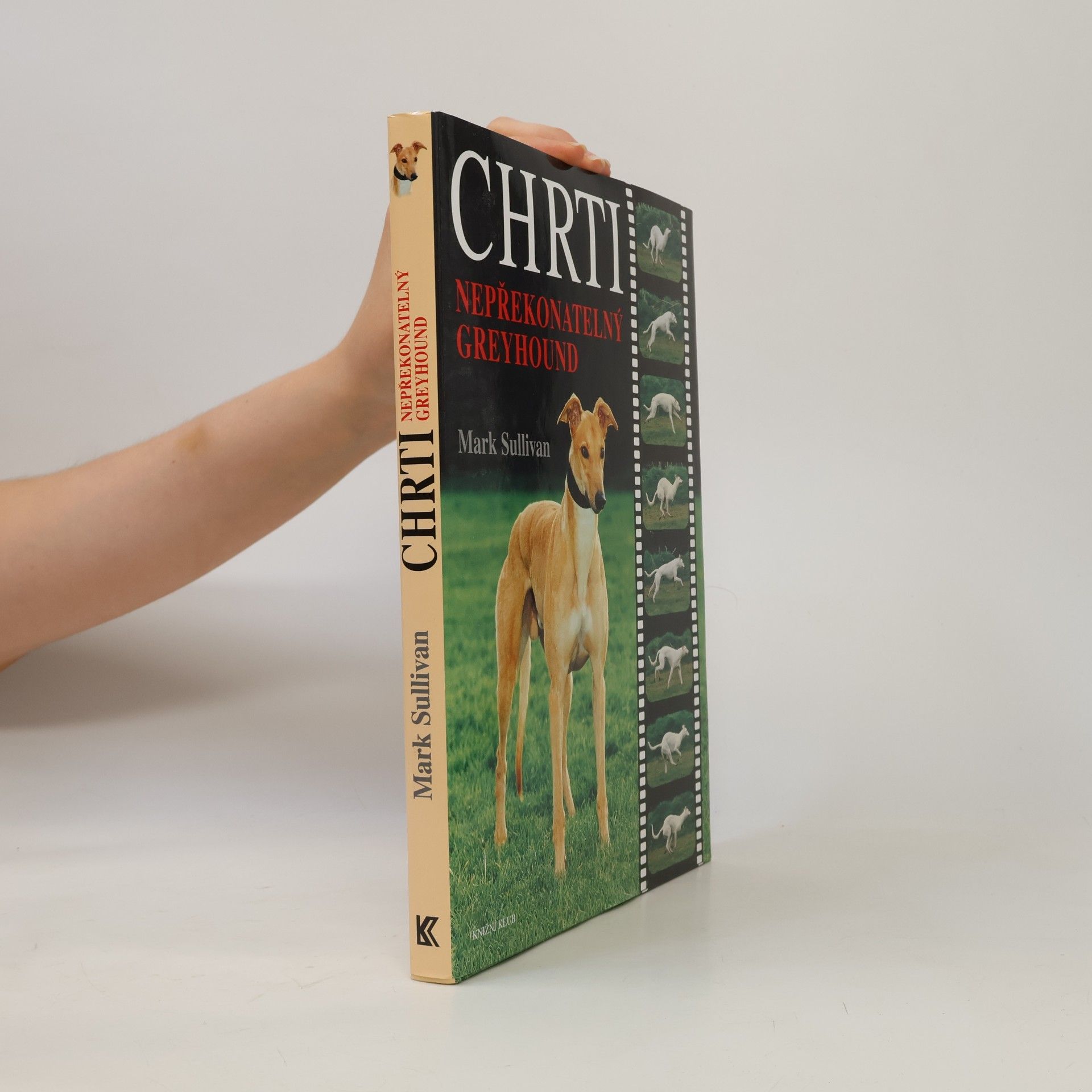 Mark T. Sullivan Chrti - Nepřekonatelný Greyhound