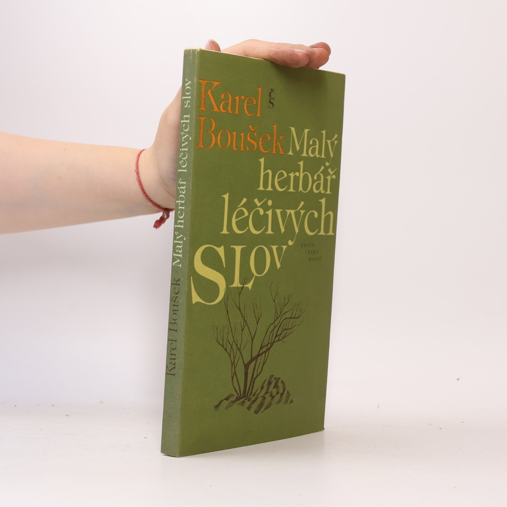 Karel Boušek Malý herbář léčivých slov