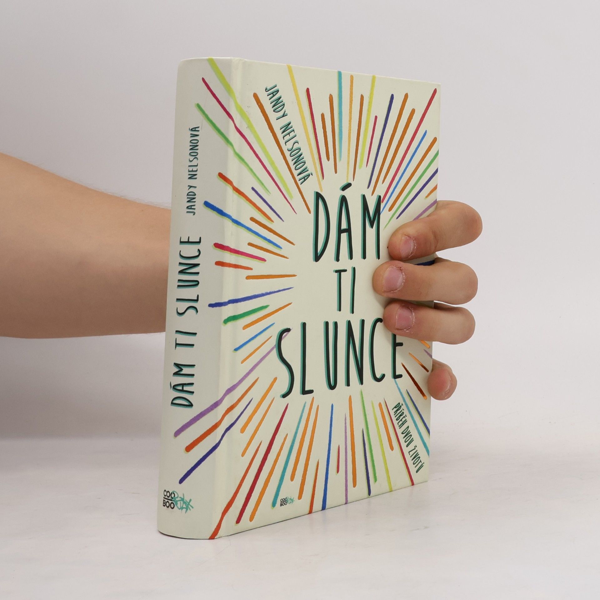 Jandy Nelson Dám ti slunce