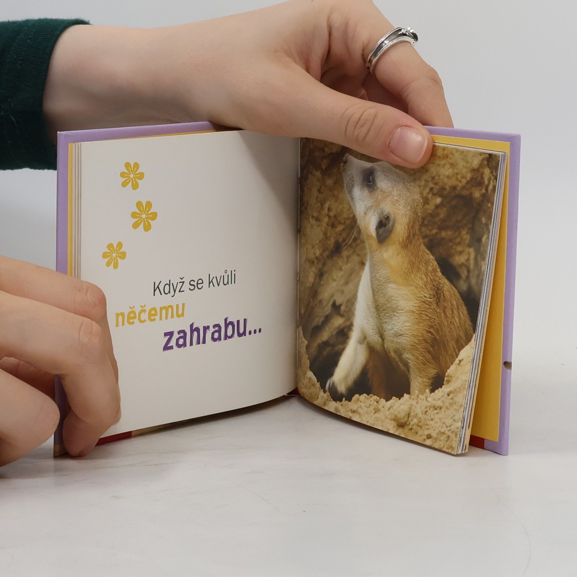 Autores varios Dobré přátele nikdo nerozdělí