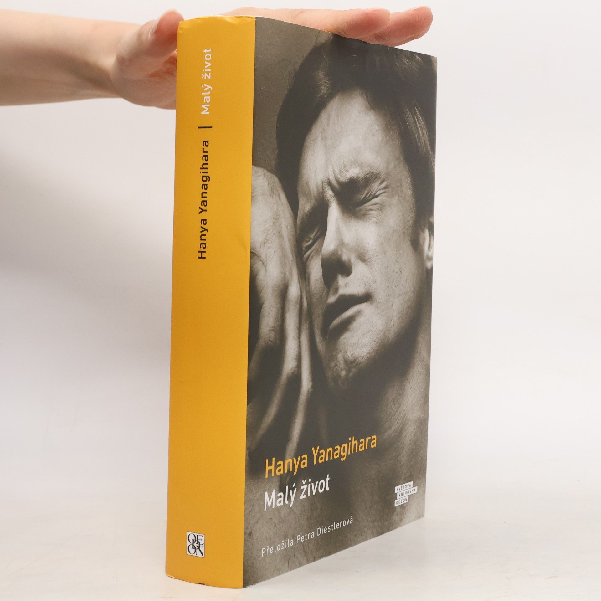 Hanya Yanagihara Malý život
