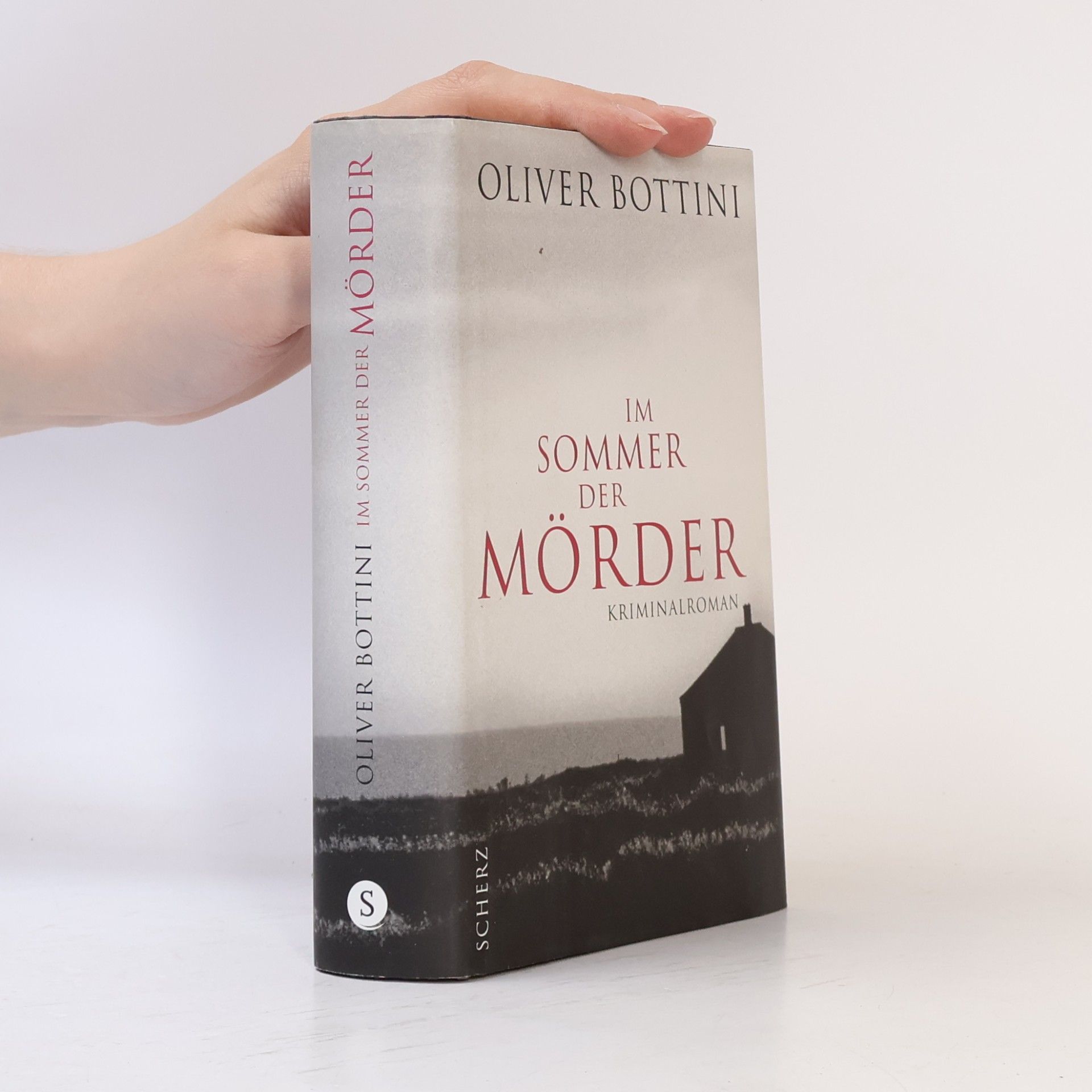 Oliver Bottini Im Sommer der Mörder