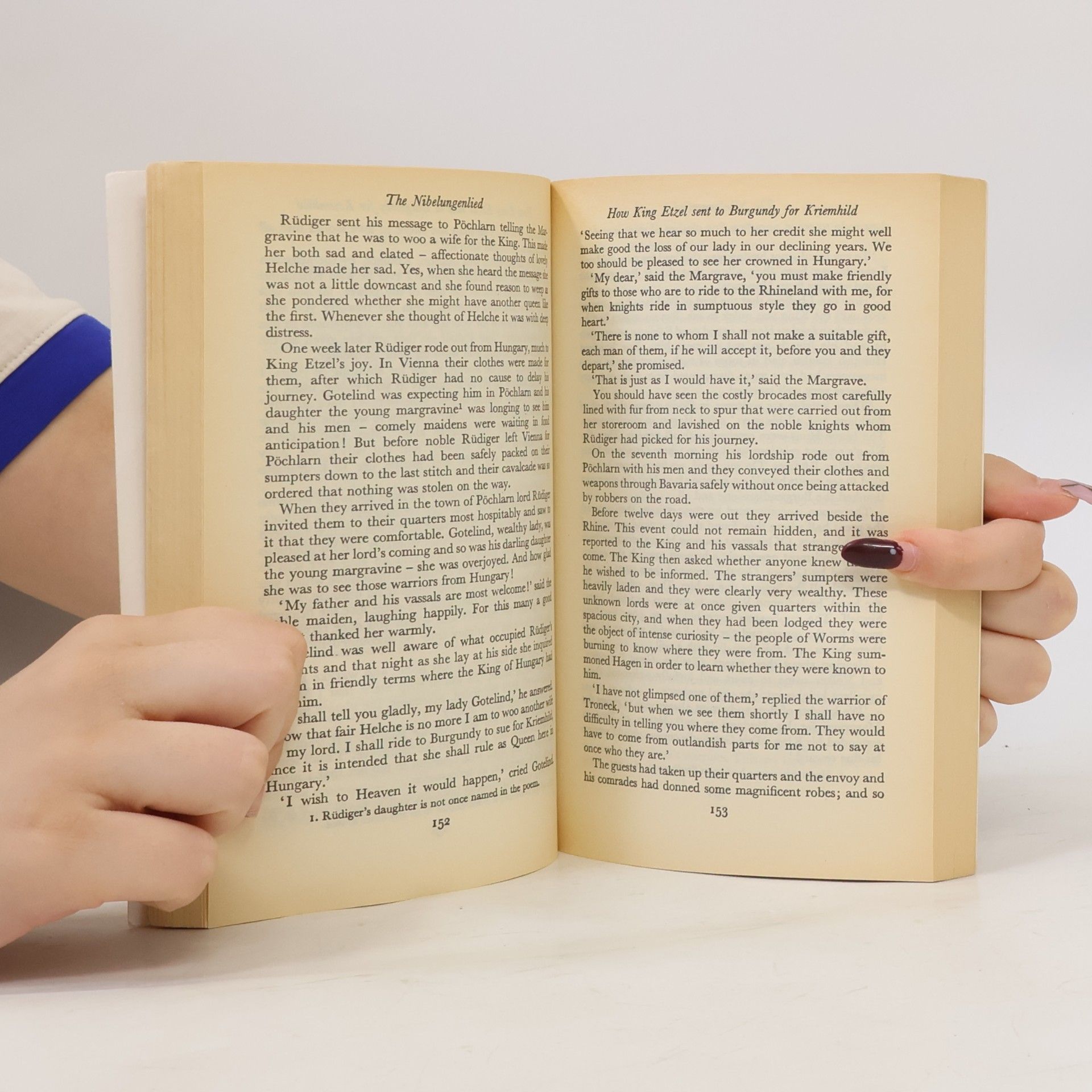 Autorenkollektiv The Nibelungenlied