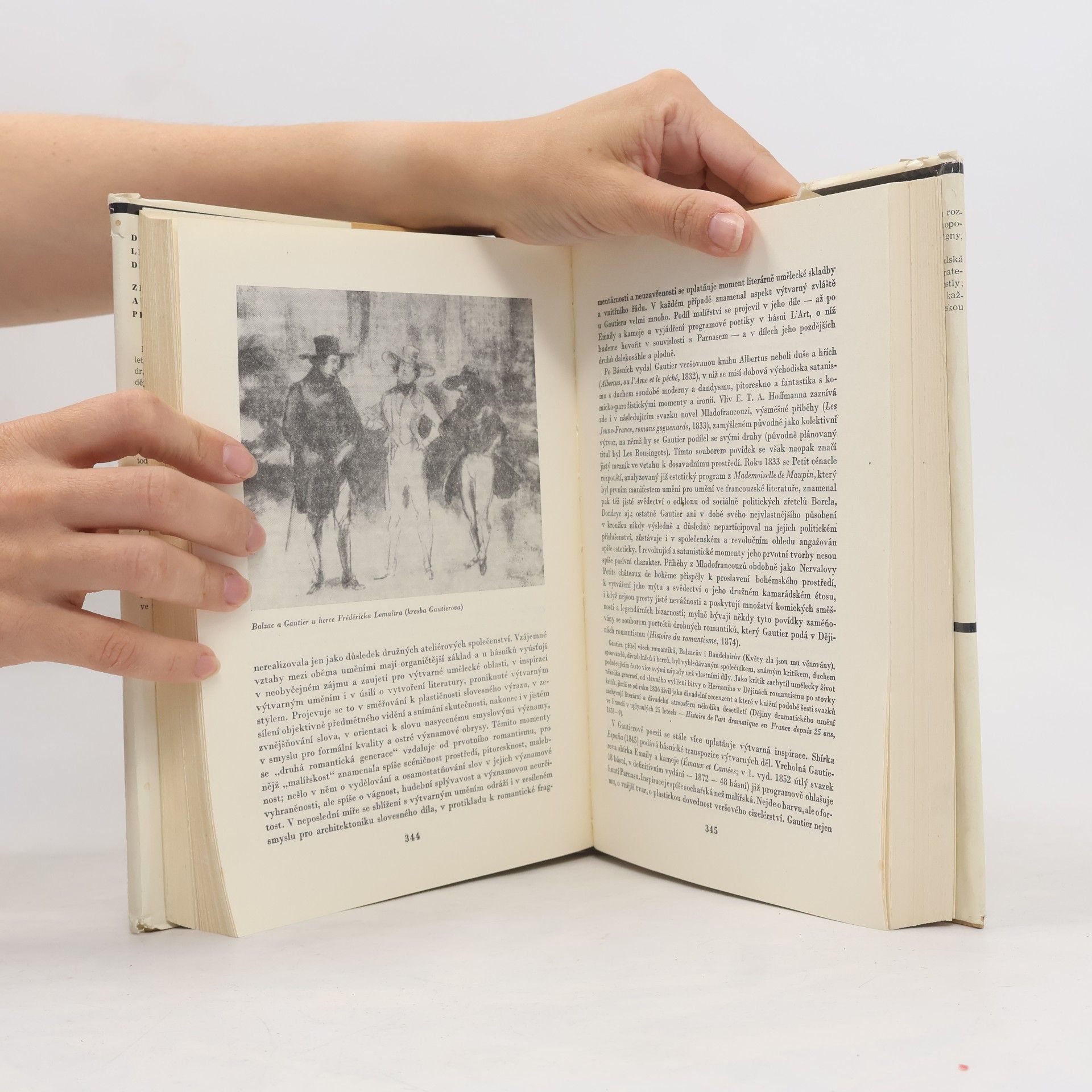 Autorenkollektiv Dějiny francouzské literatury 19. a 20. stol. 1