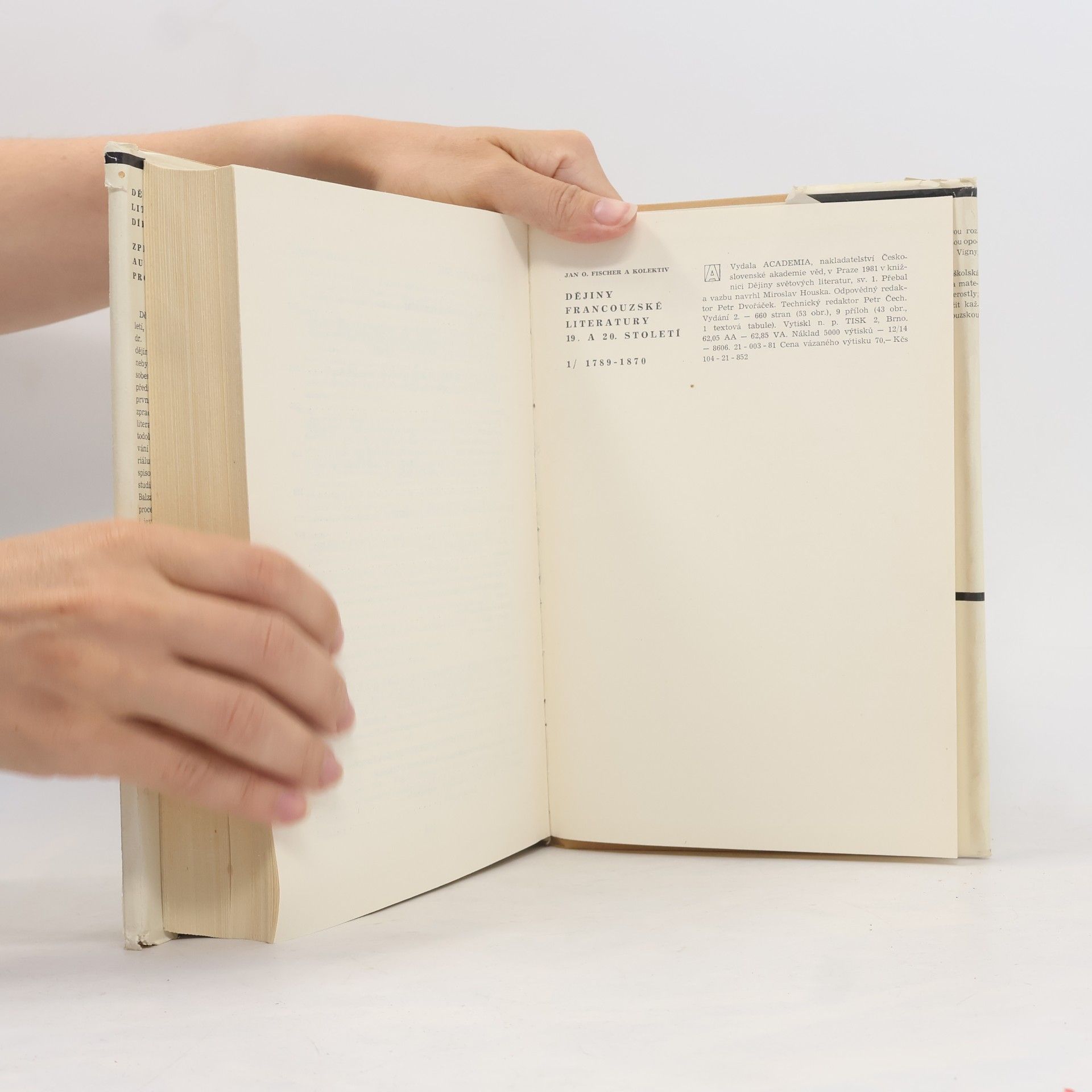 Autorenkollektiv Dějiny francouzské literatury 19. a 20. stol. 1