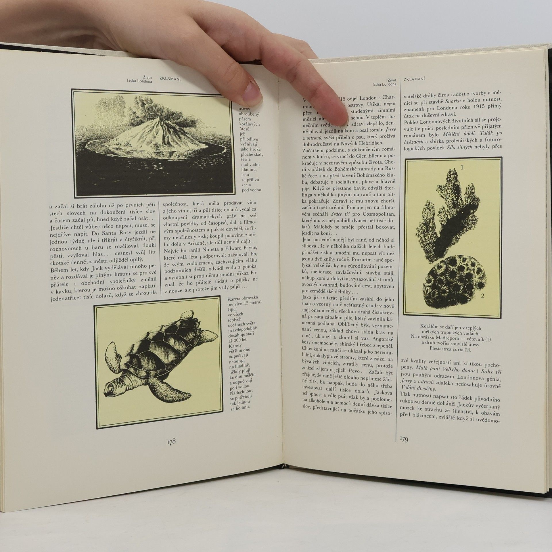 Jack London Láska k životu aneb Kniha o podivuhodném a dobrodružném životě, díle, láskách, bojích a smrti Jacka Londona, spisovatele, zlatokopa, námořníka, tuláka a snílka