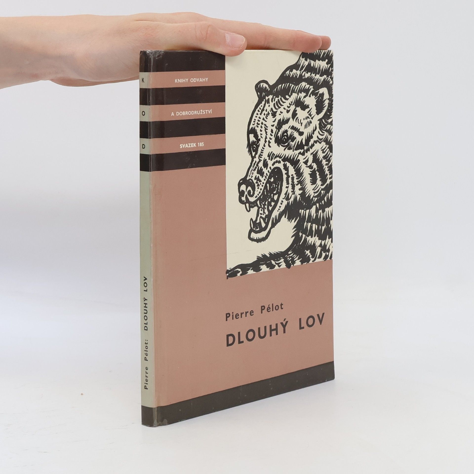 Dlouhý lov